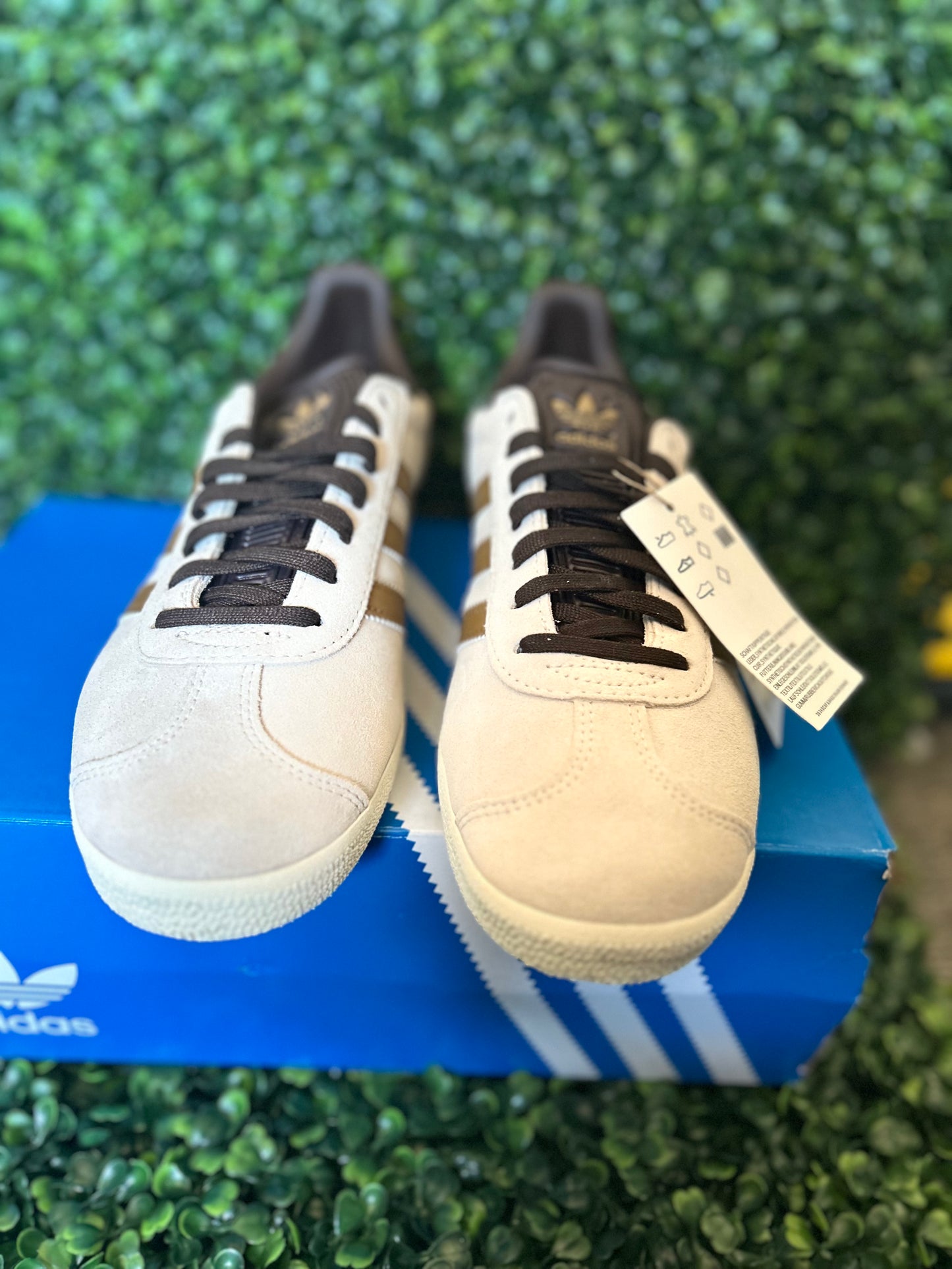 Adidas gazelle