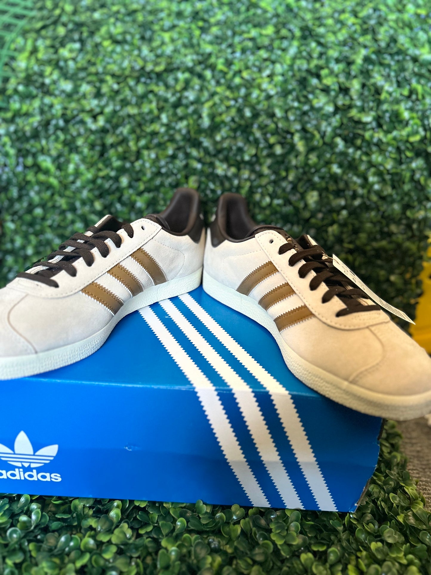 Adidas gazelle