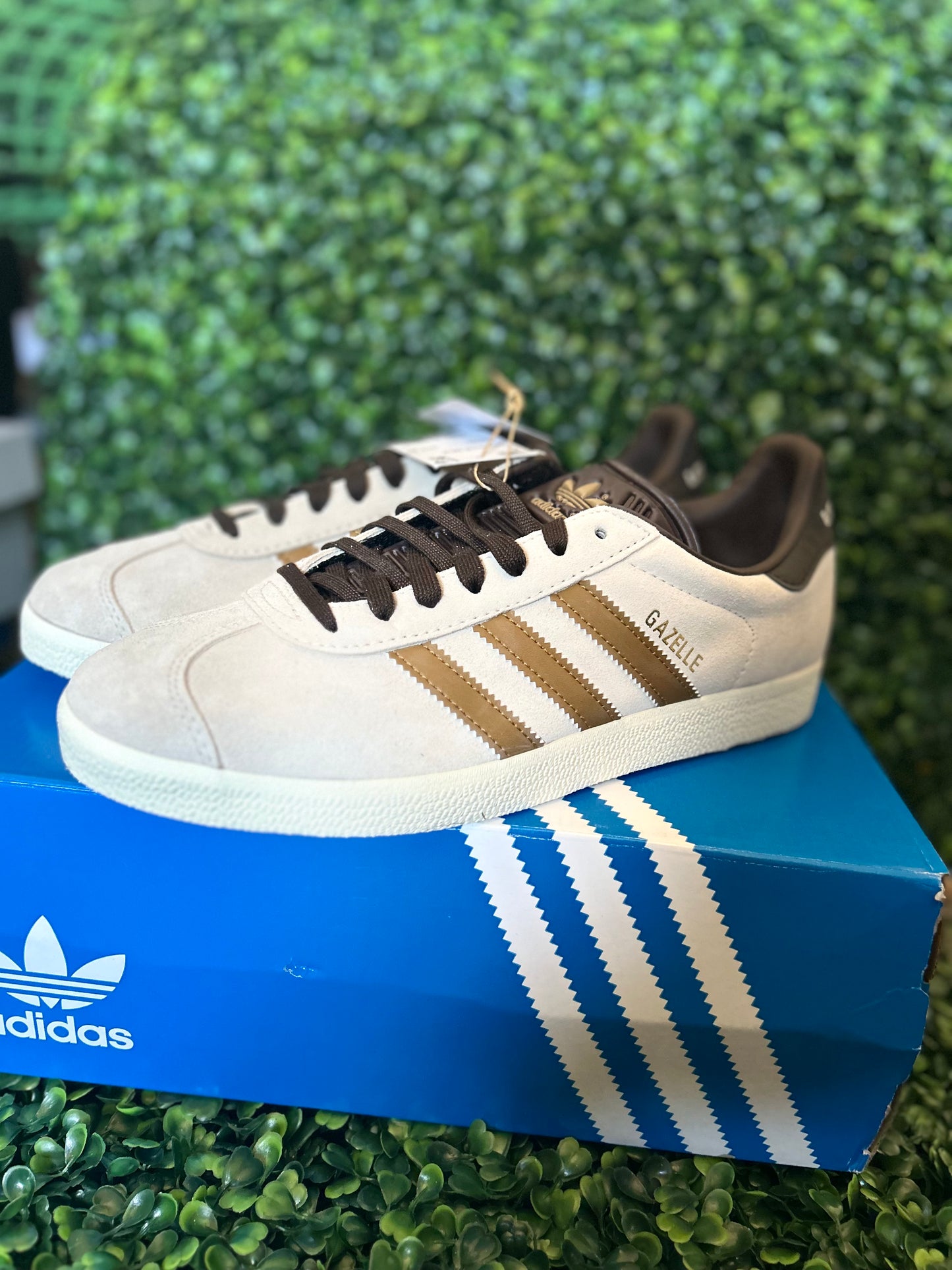 Adidas gazelle
