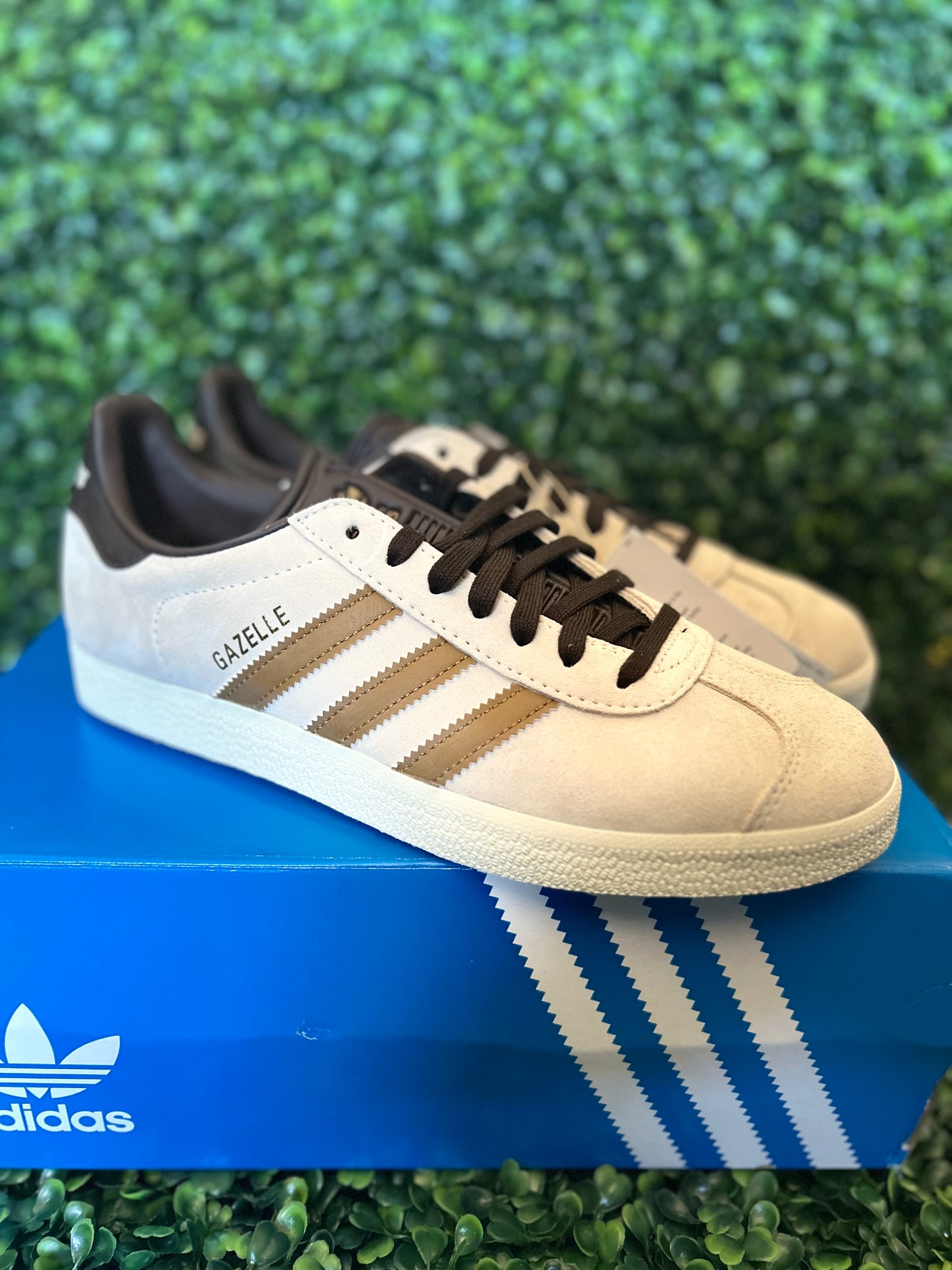 Adidas gazelle