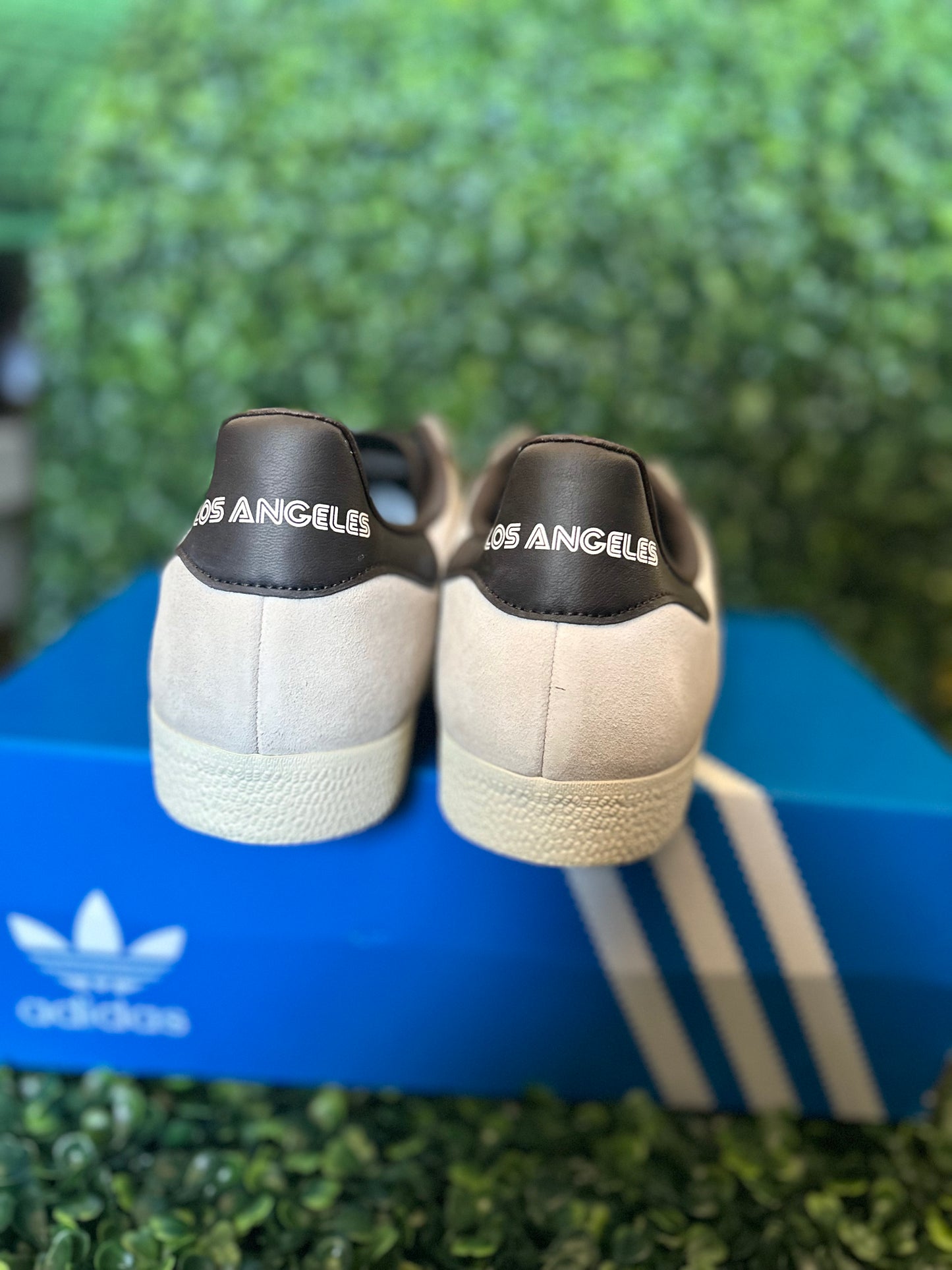 Adidas gazelle