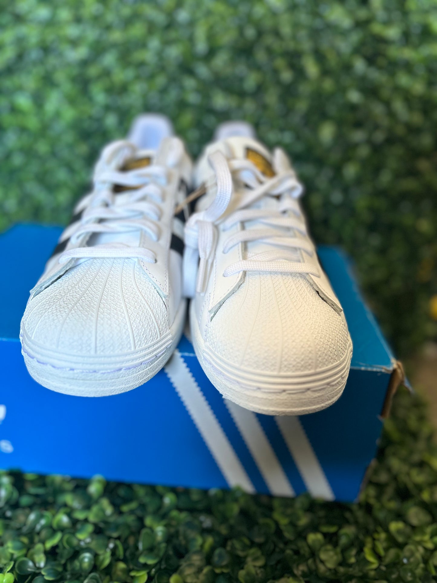 Adidas superstar