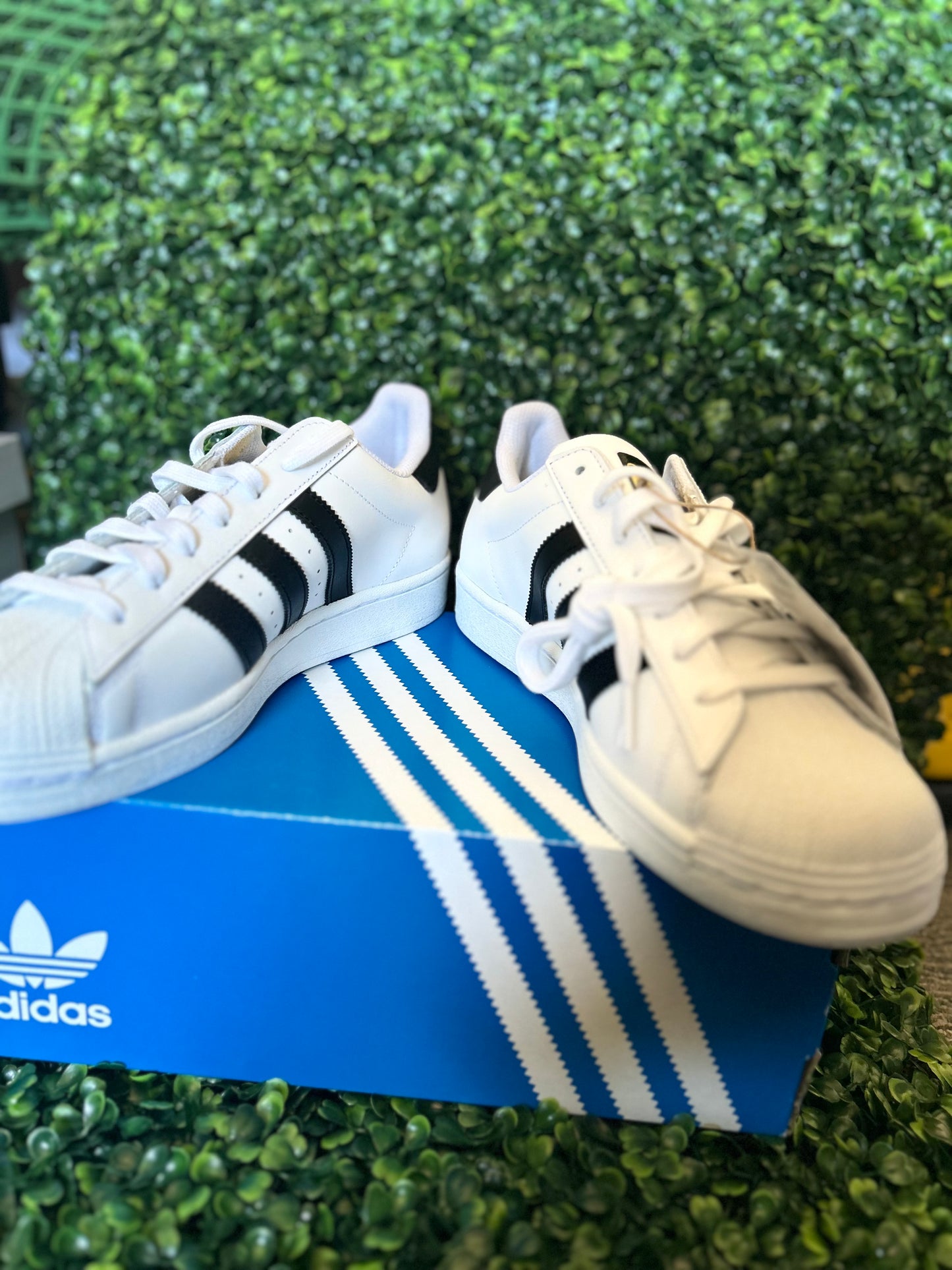 Adidas superstar
