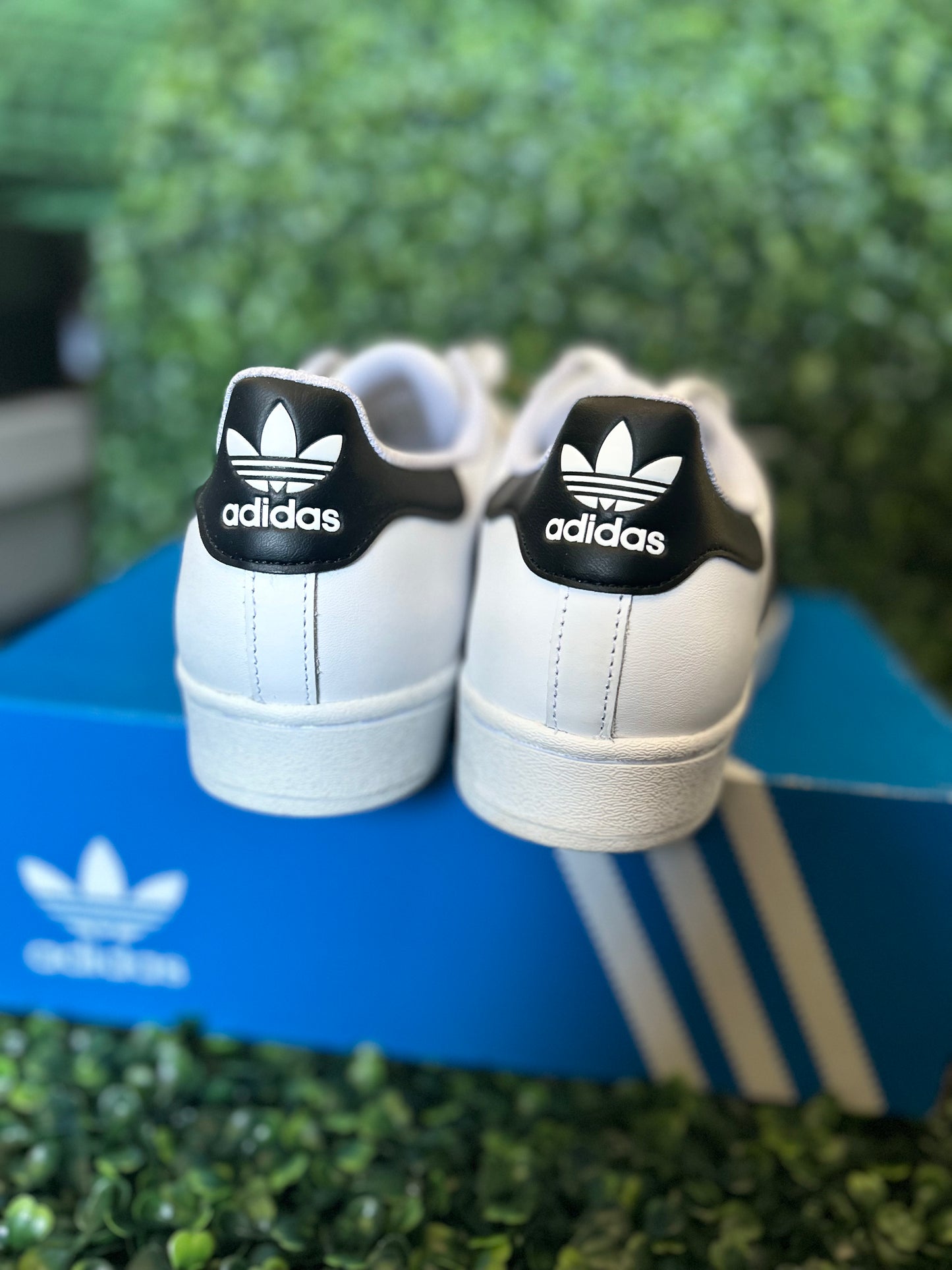 Adidas superstar