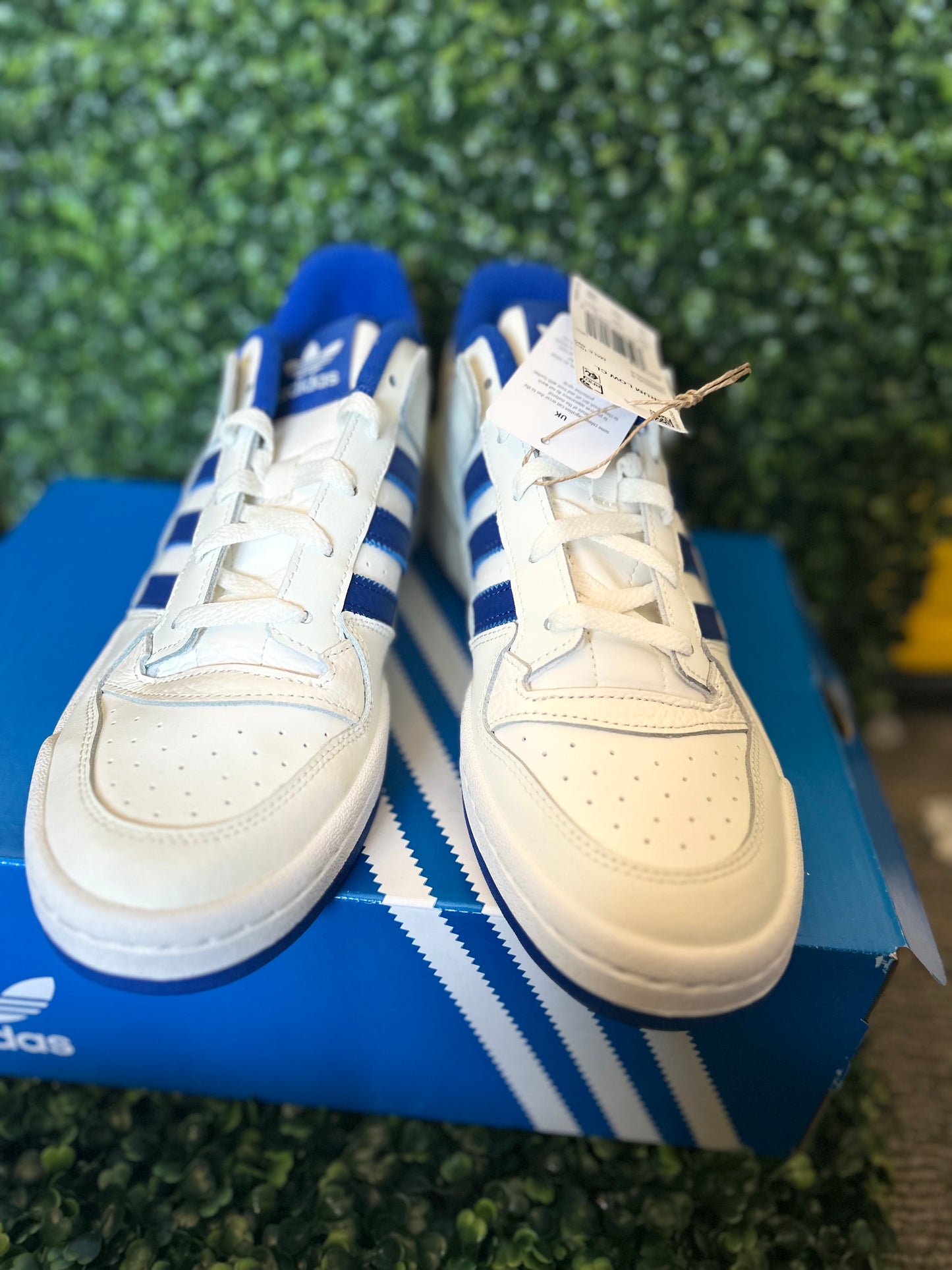 Adidas forum low