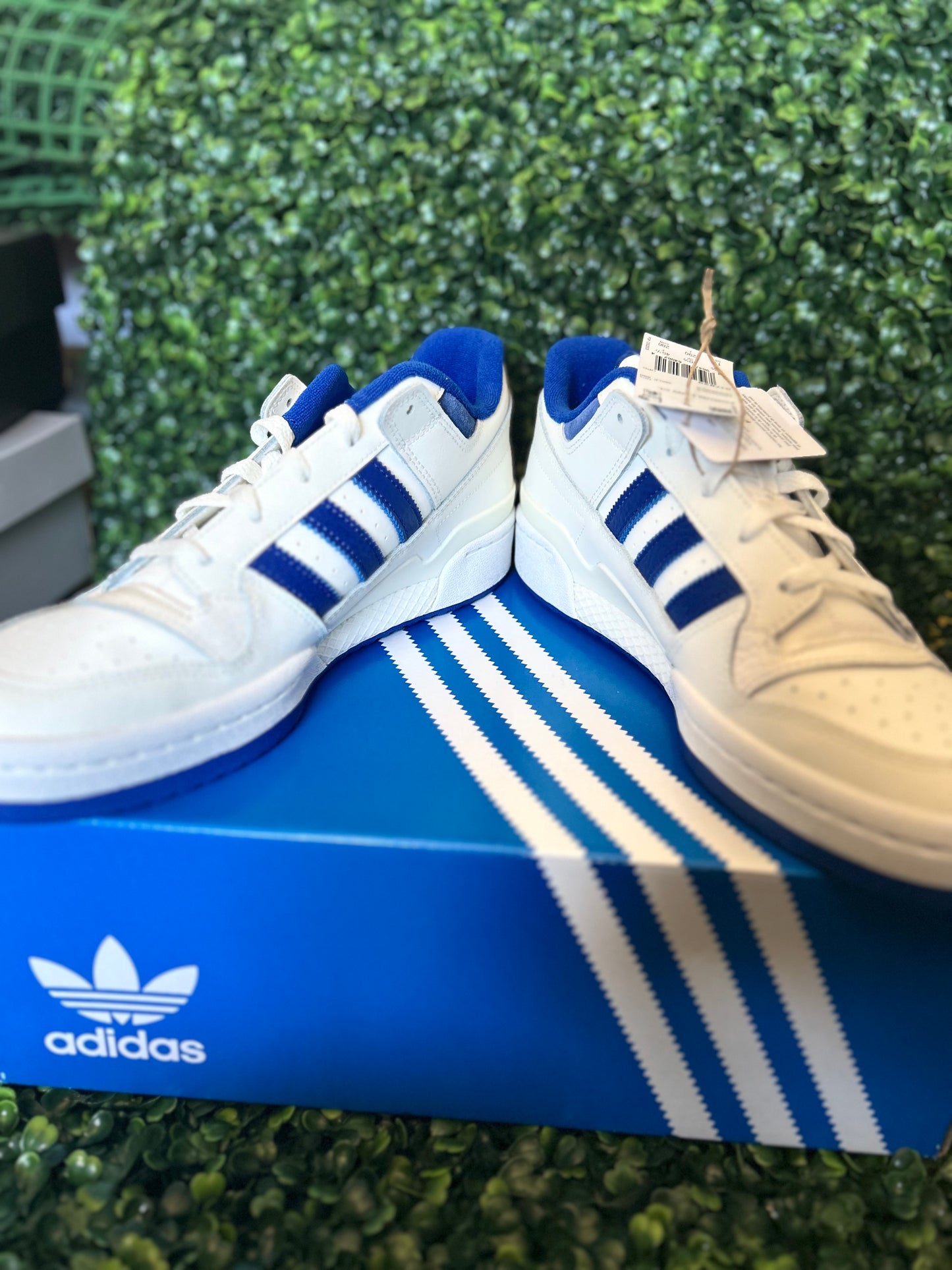 Adidas forum low