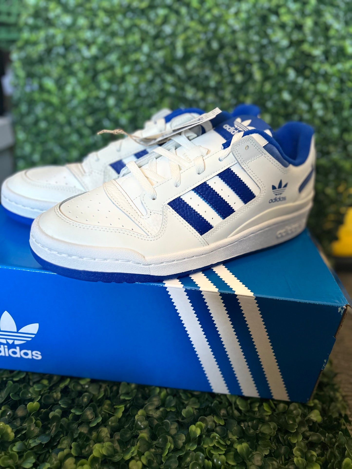 Adidas forum low