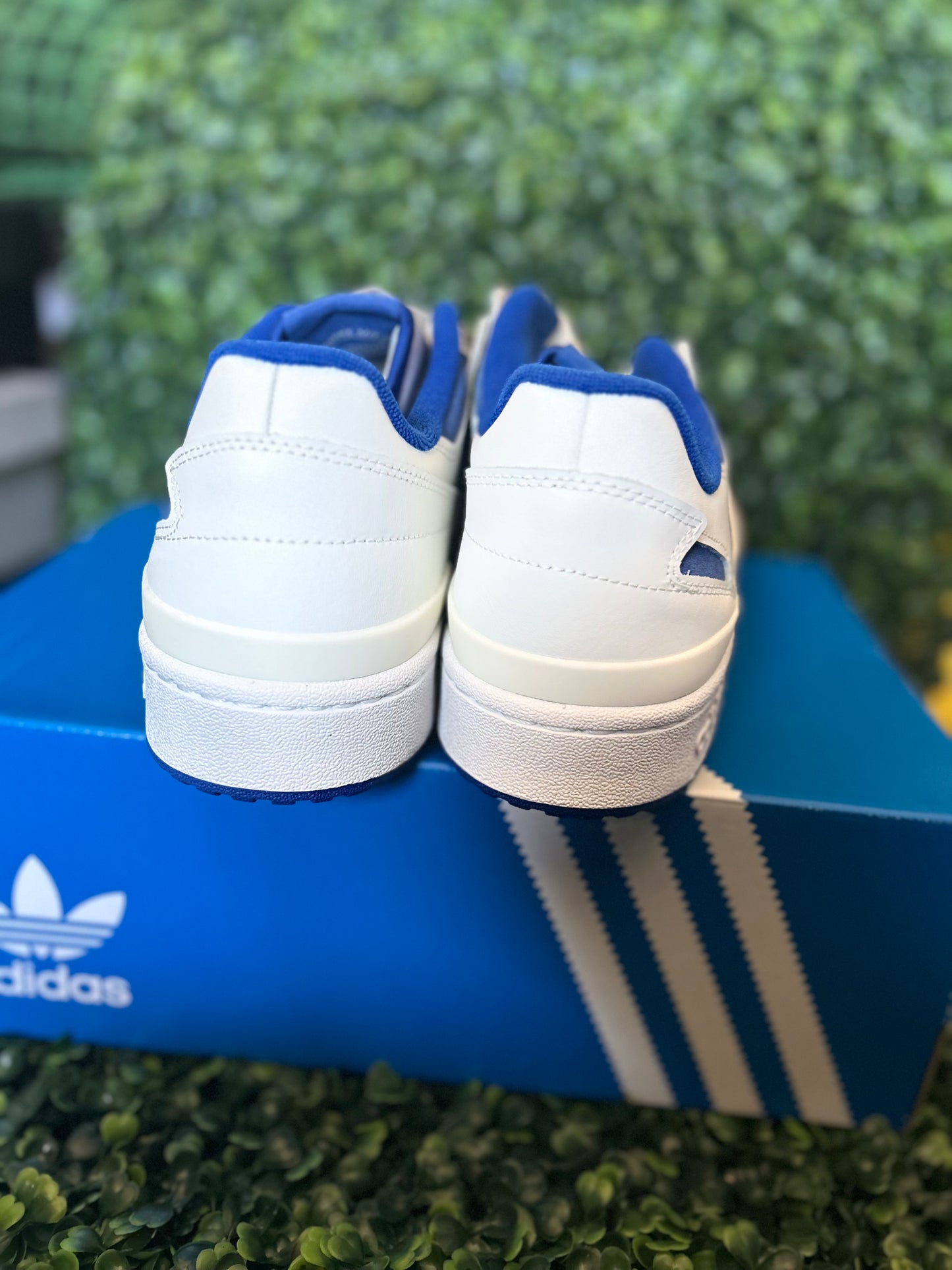 Adidas forum low