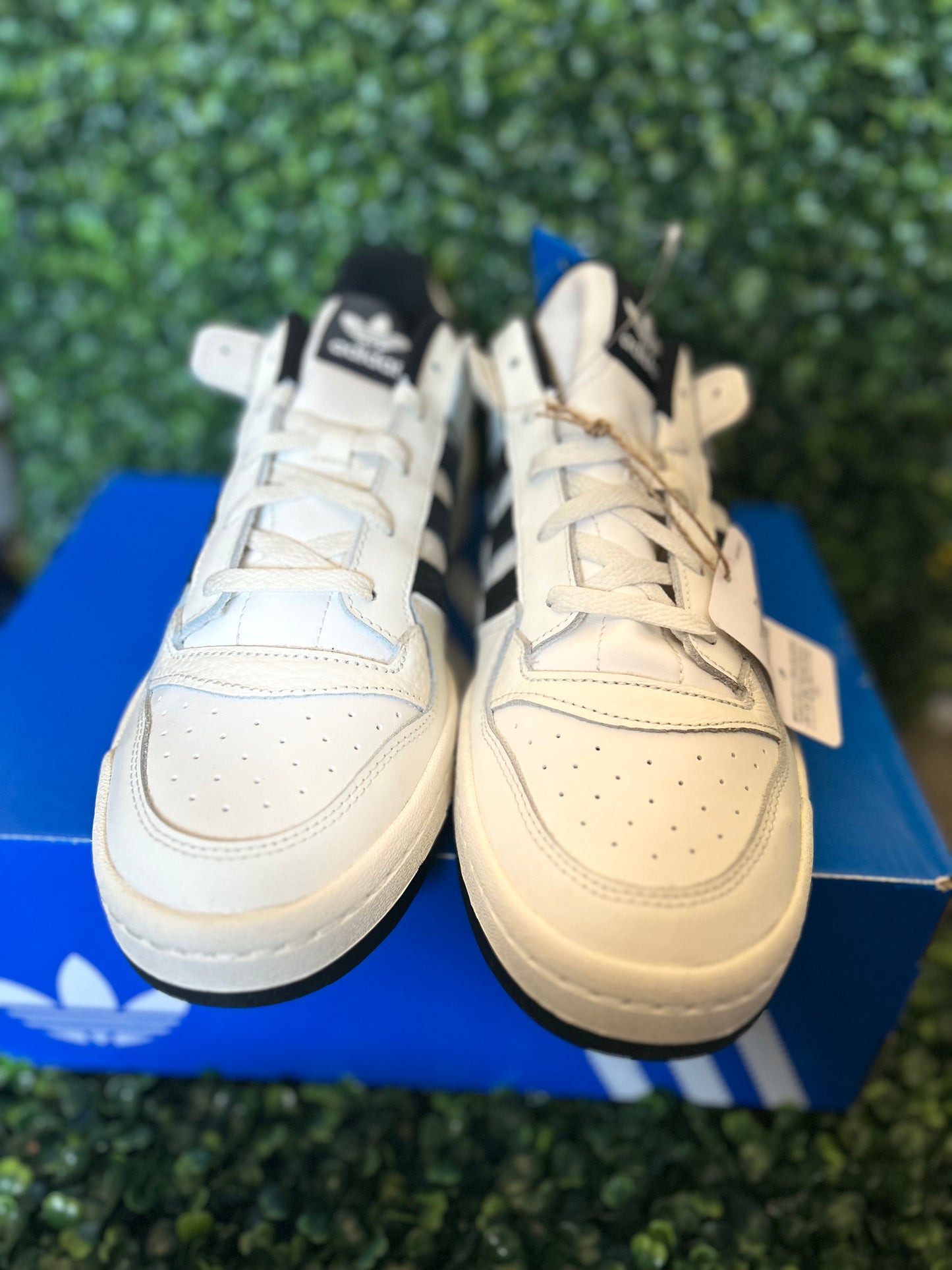 Adidas forum low