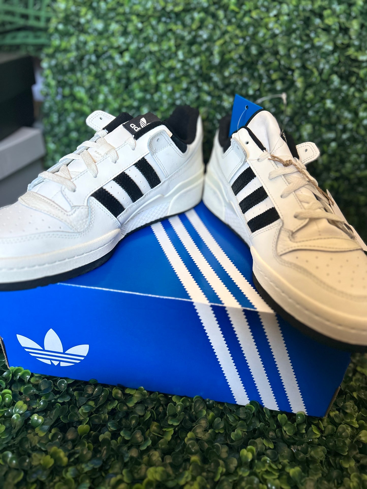 Adidas forum low