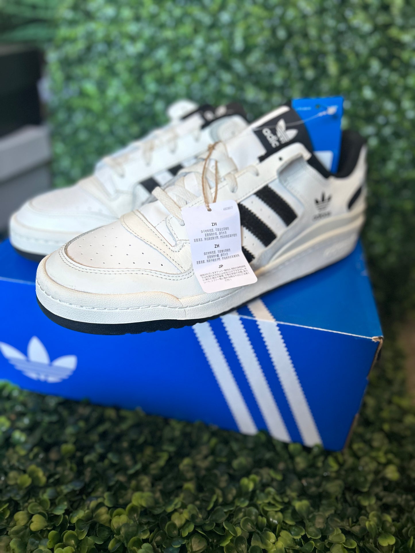 Adidas forum low