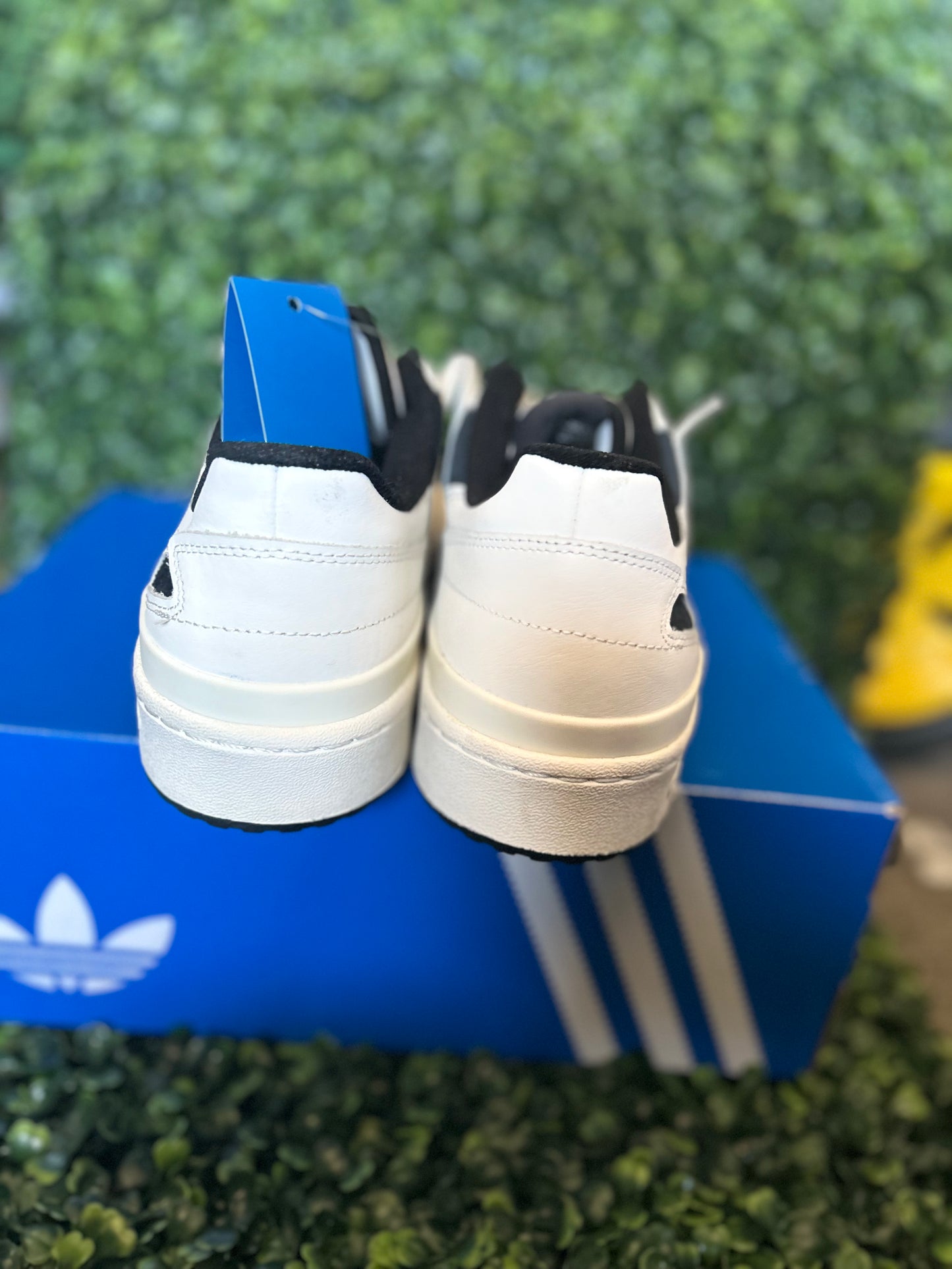Adidas forum low