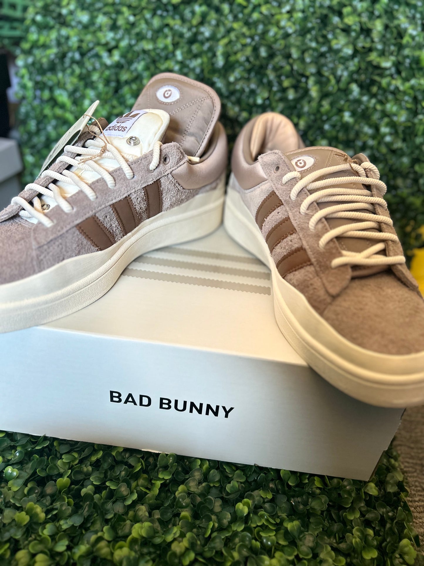 Adidas Bad Bunny campus
