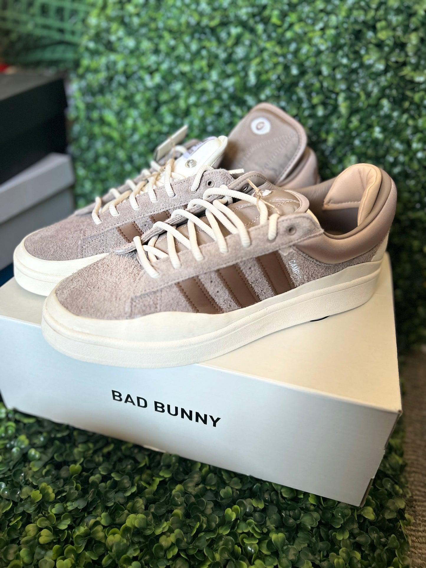 Adidas Bad Bunny campus