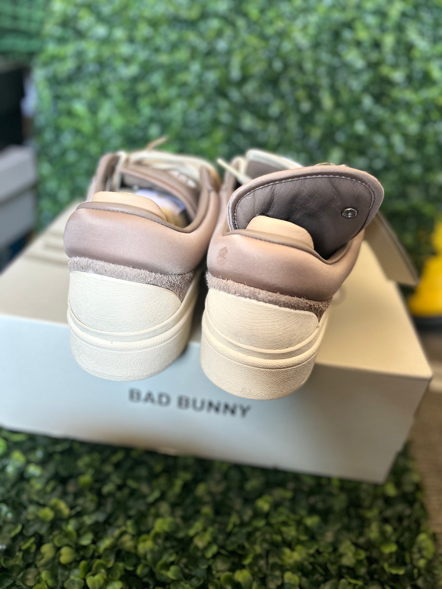 Adidas Bad Bunny campus