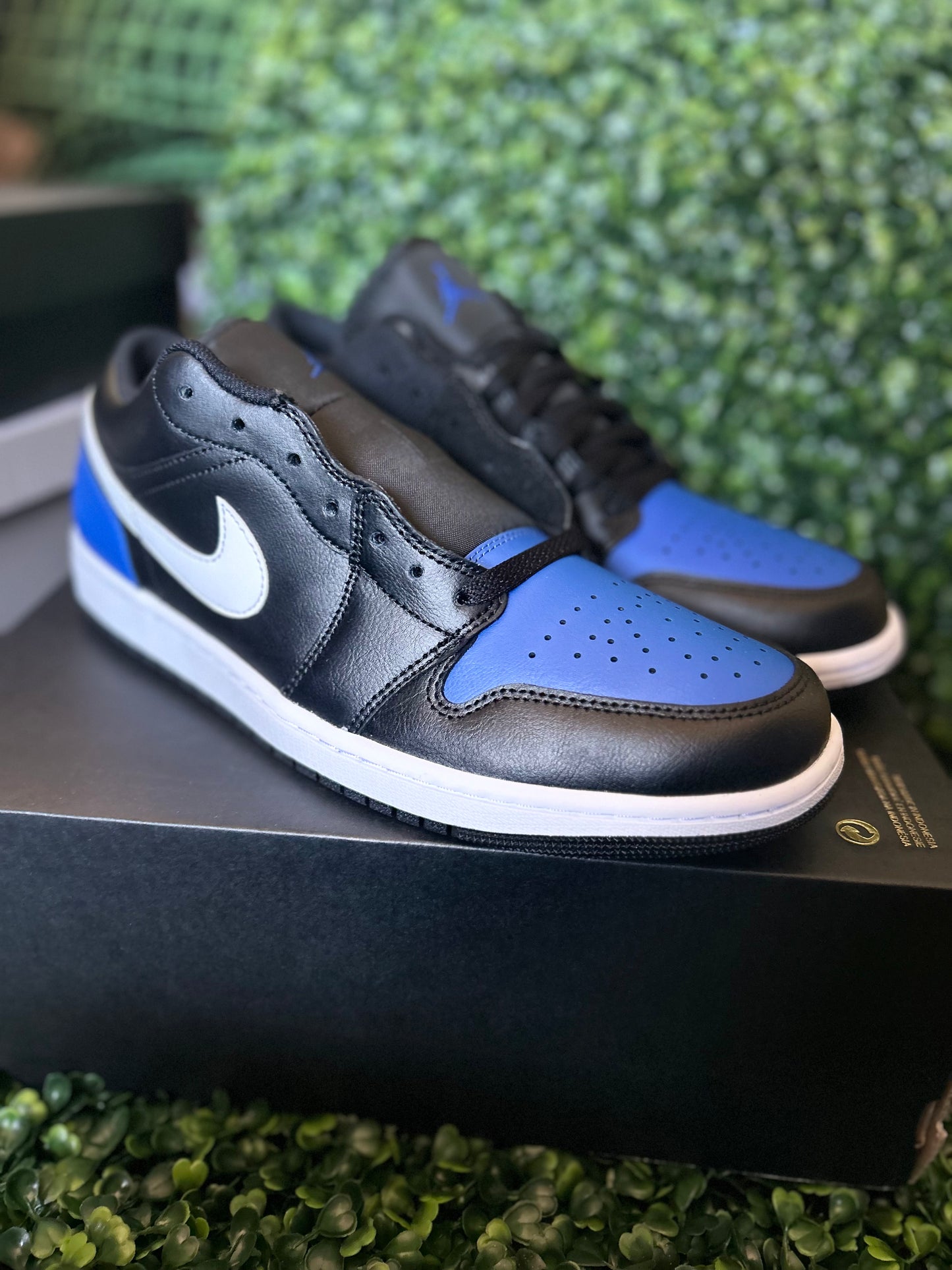 Jordan 1