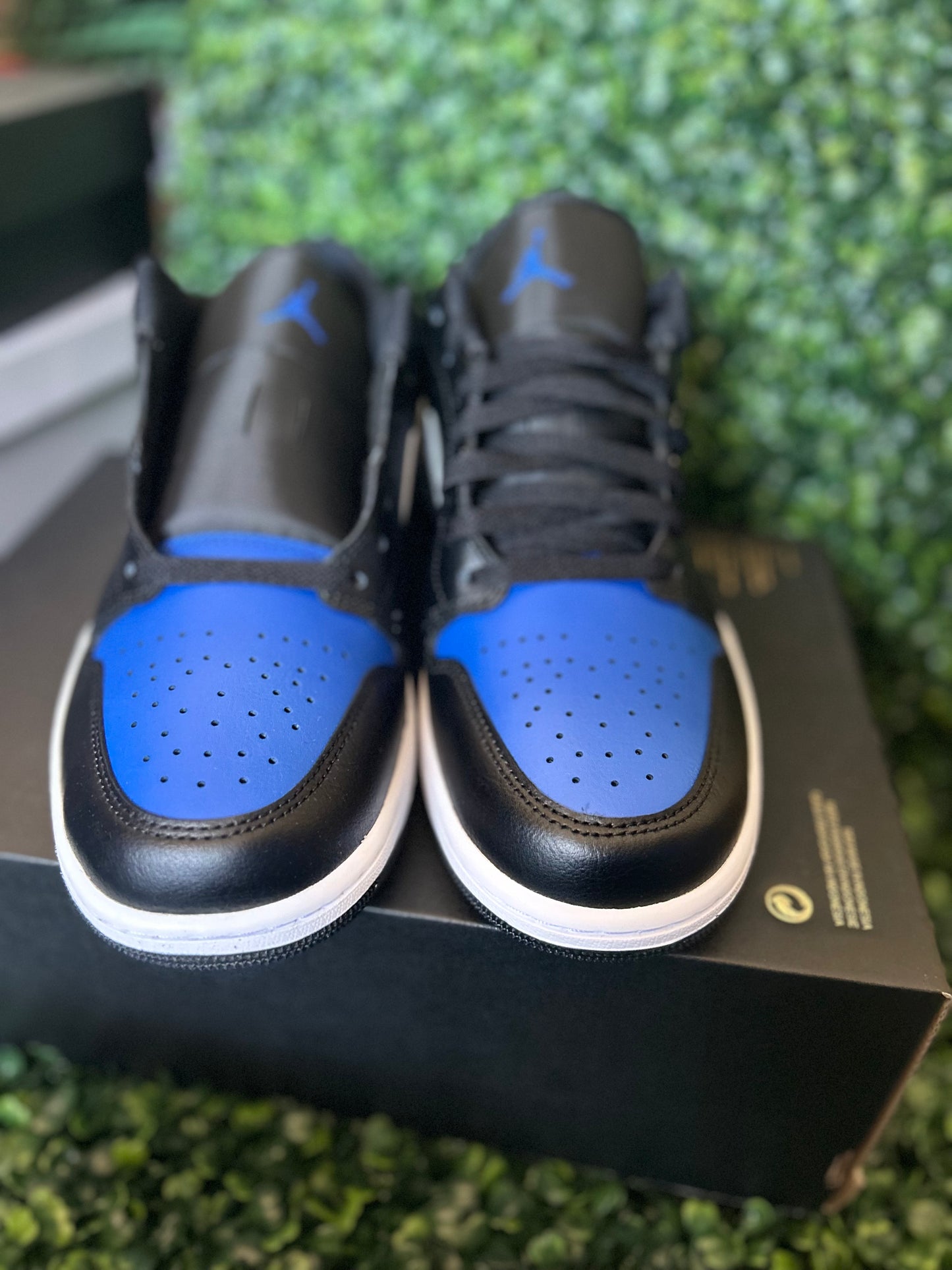 Jordan 1