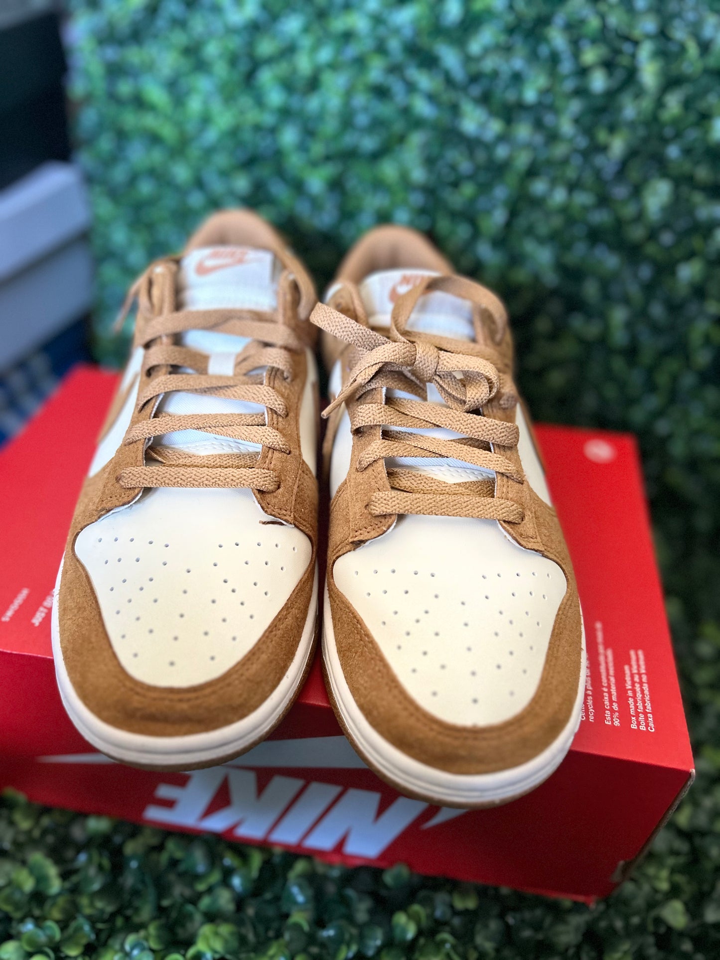 Nike dunk
