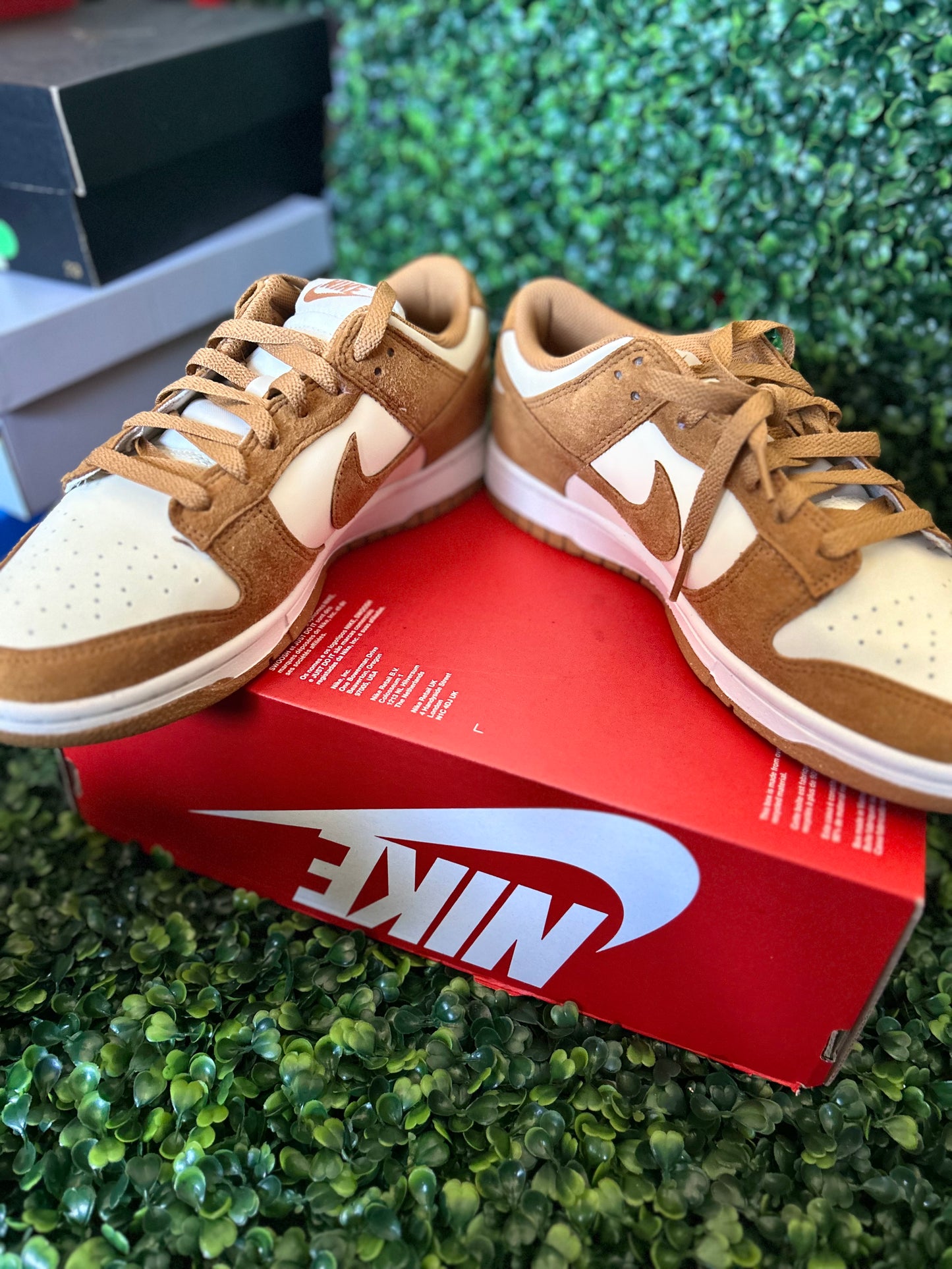 Nike dunk