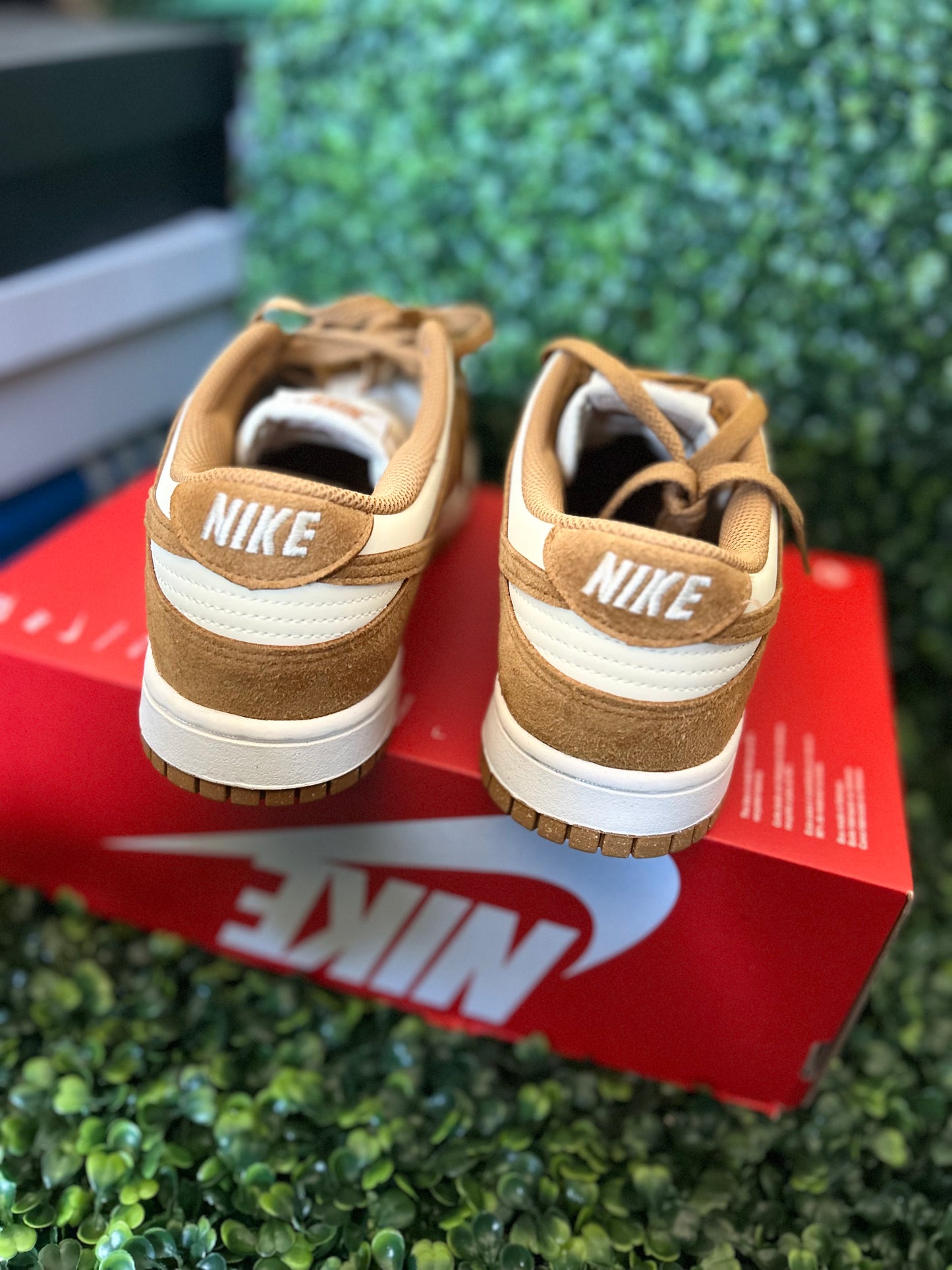 Nike dunk