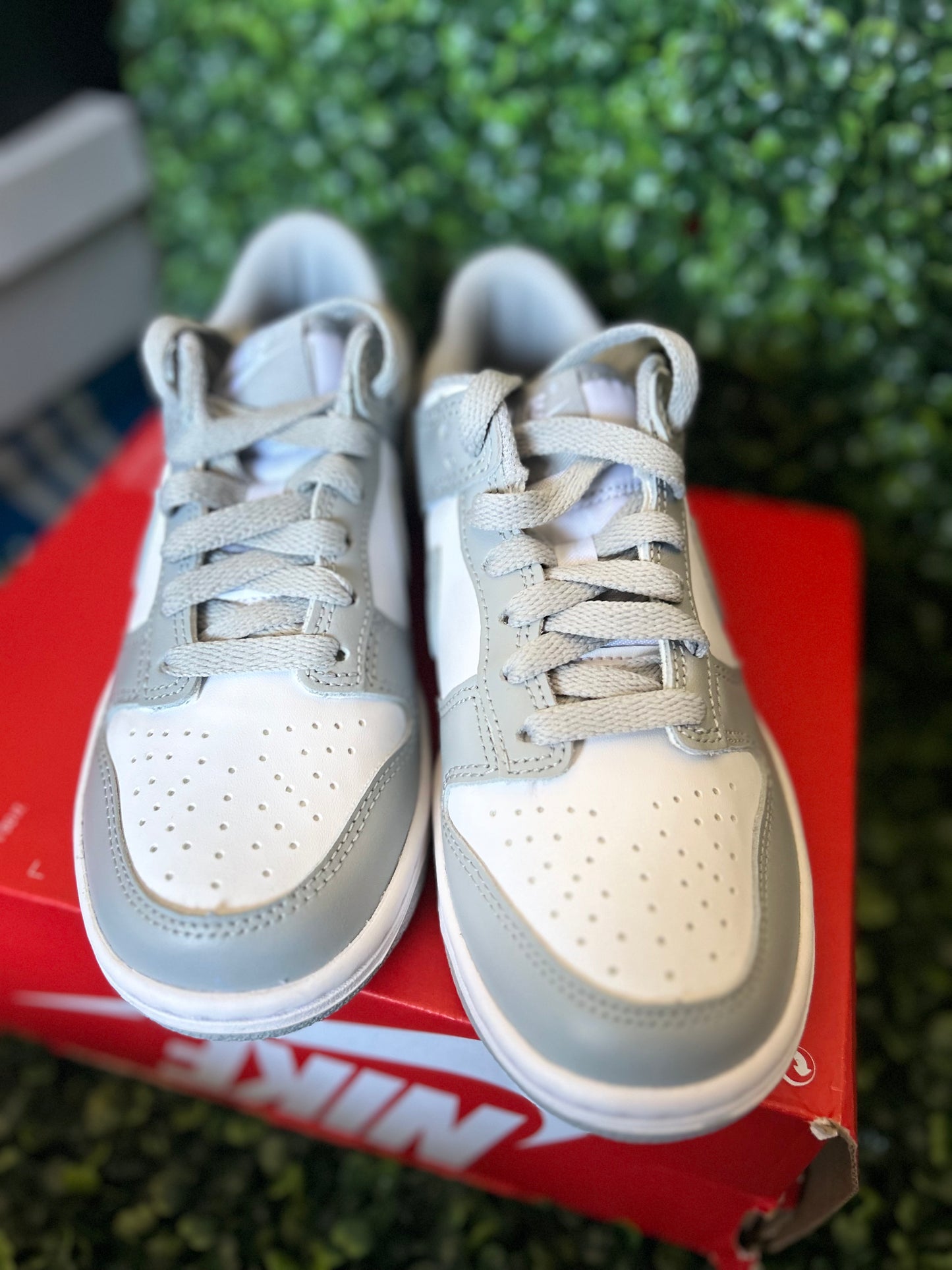 Nike dunk