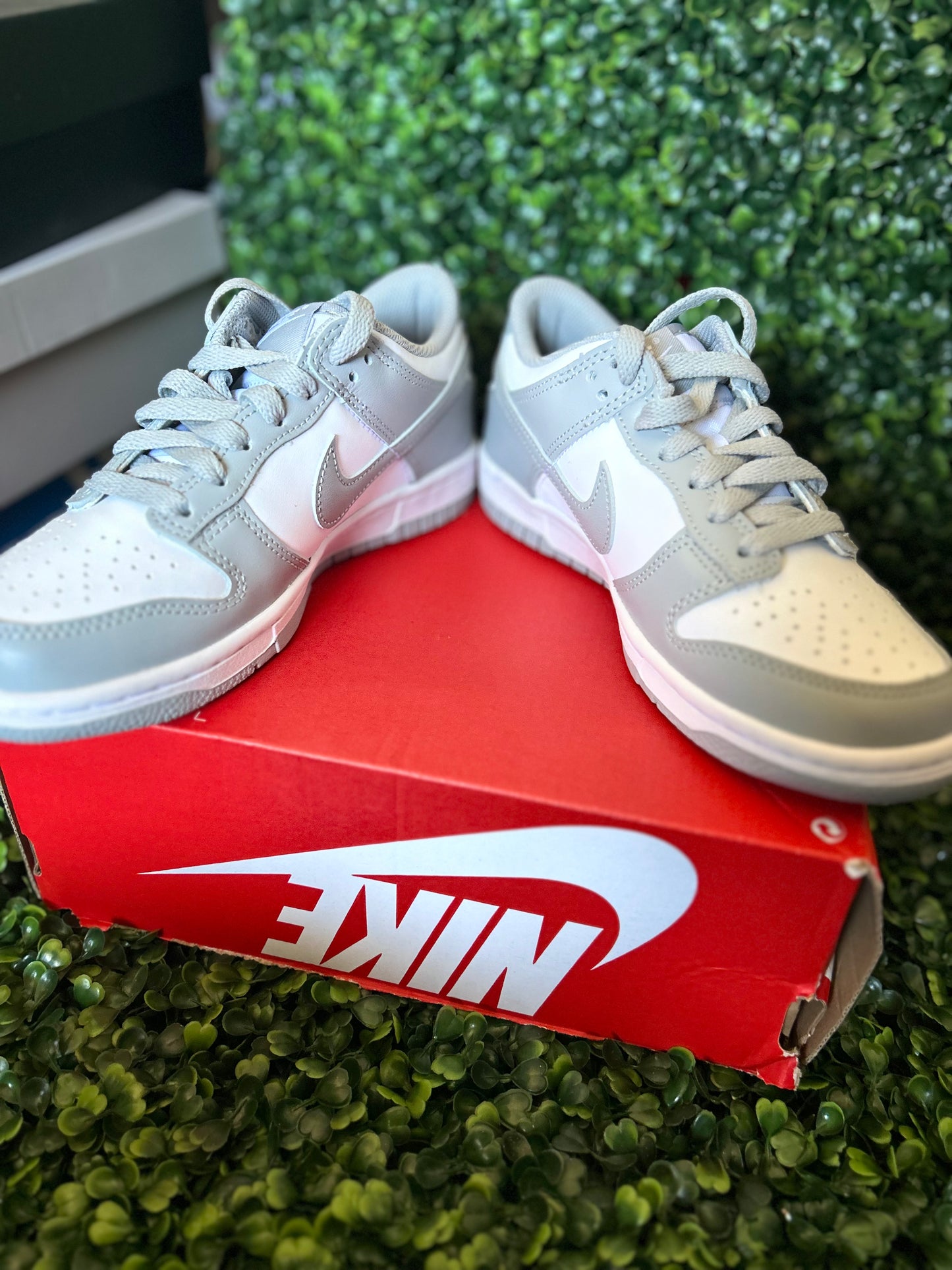 Nike dunk