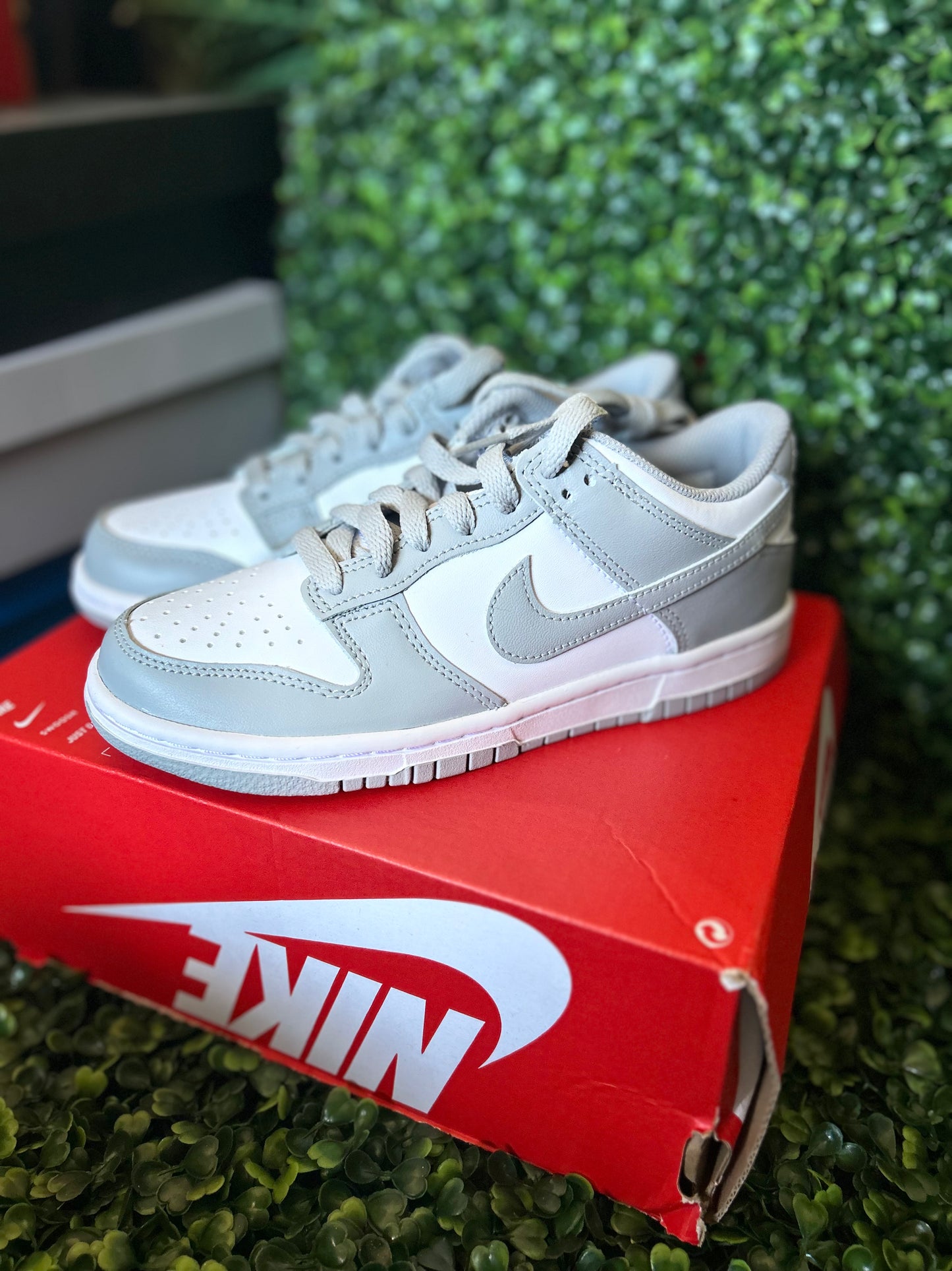 Nike dunk