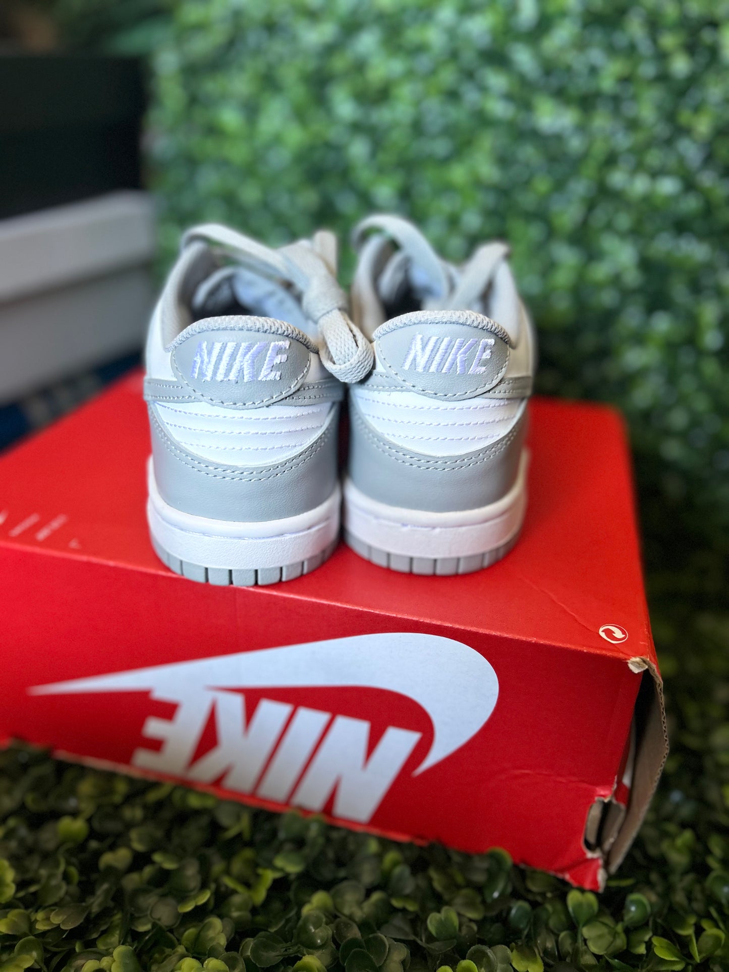 Nike dunk