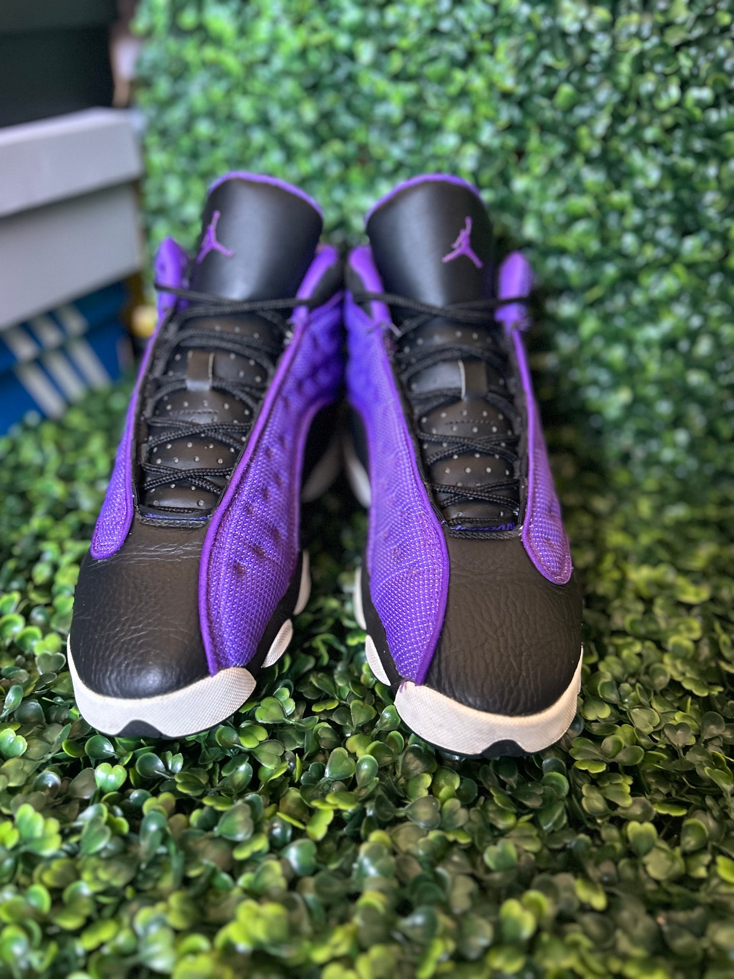 Jordan 13