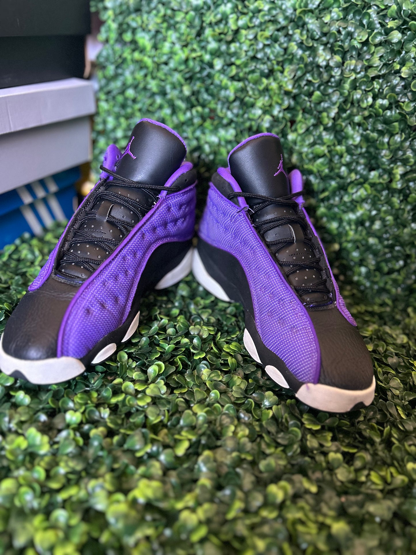 Jordan 13