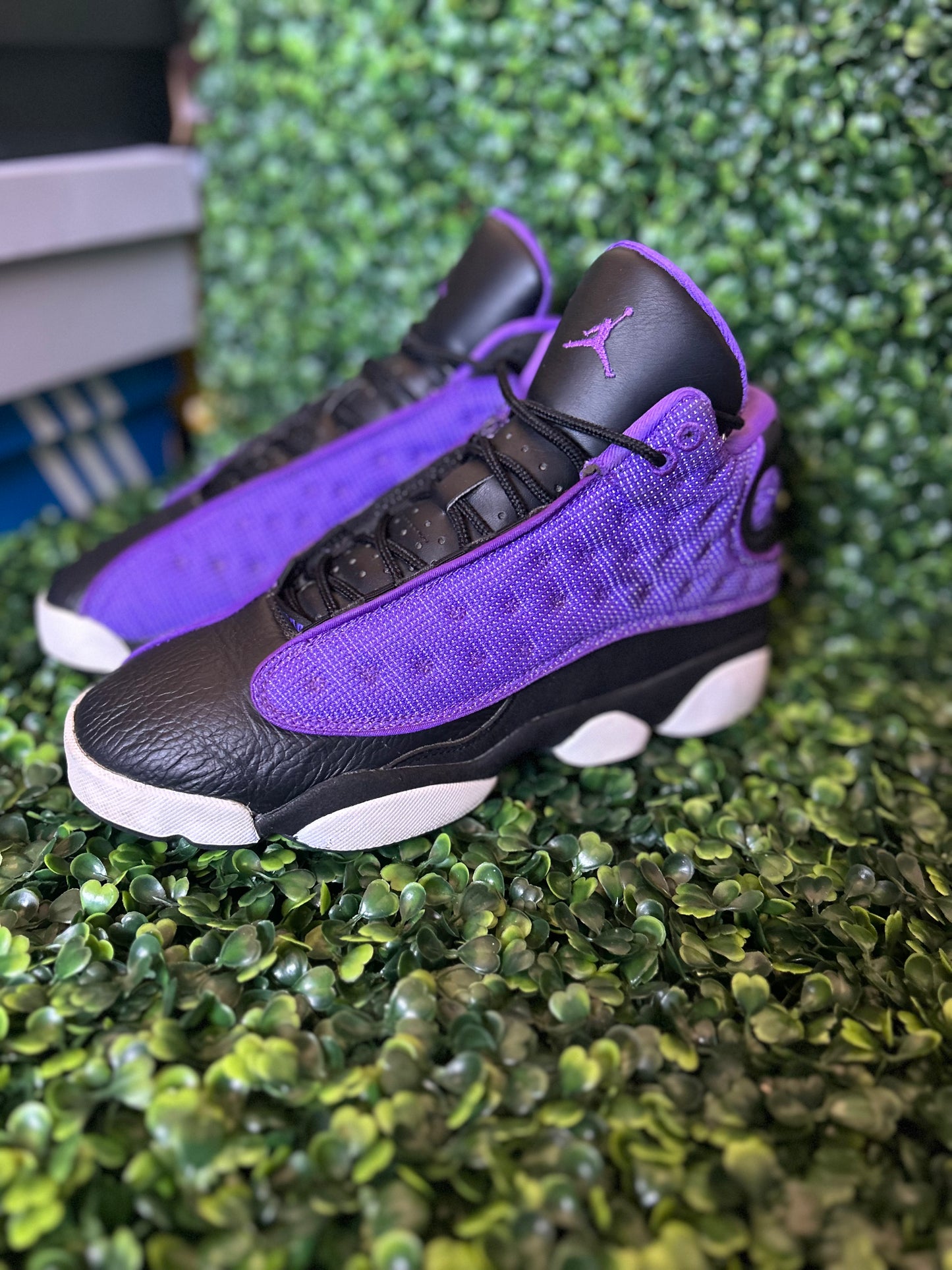 Jordan 13