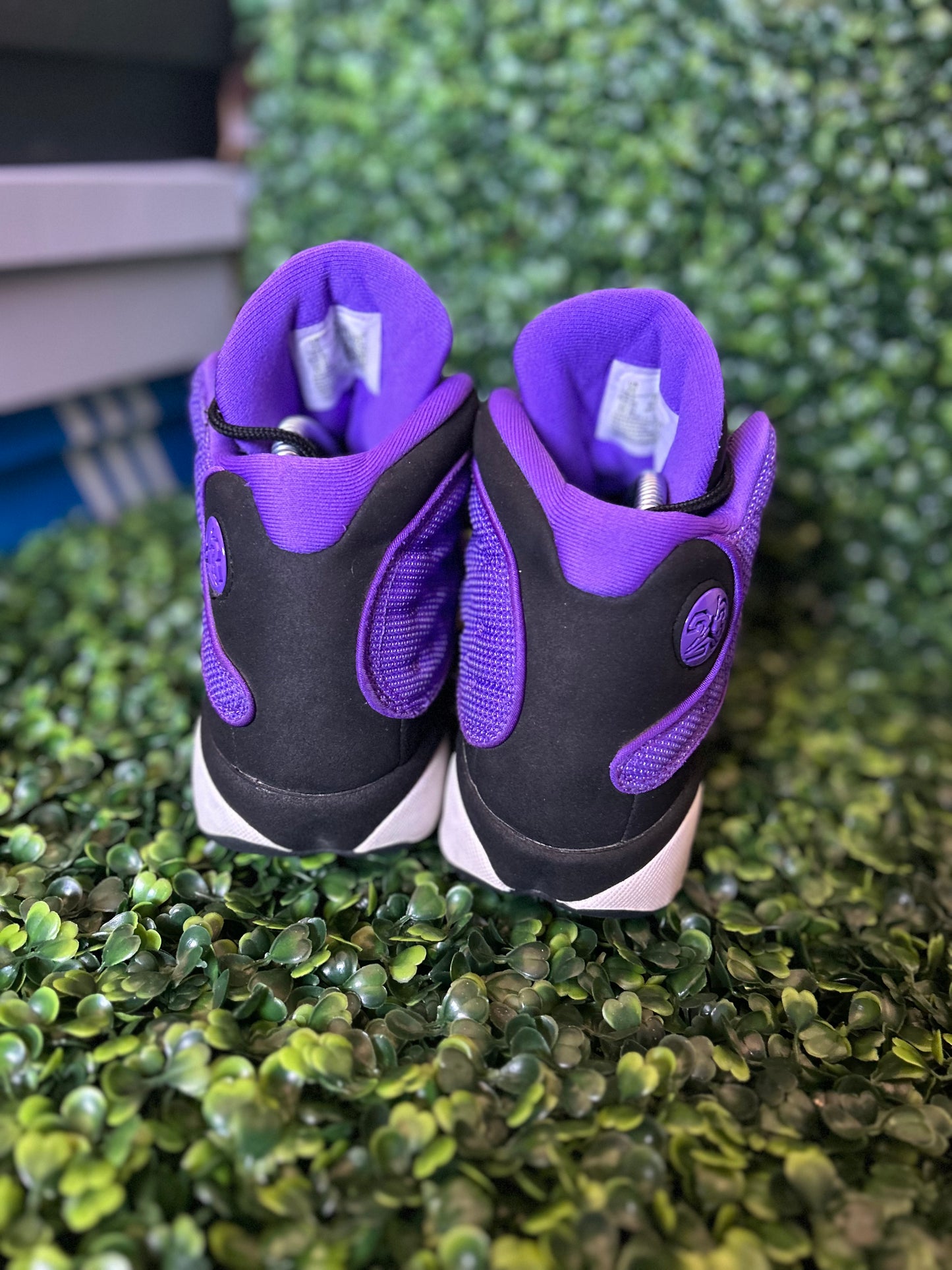 Jordan 13