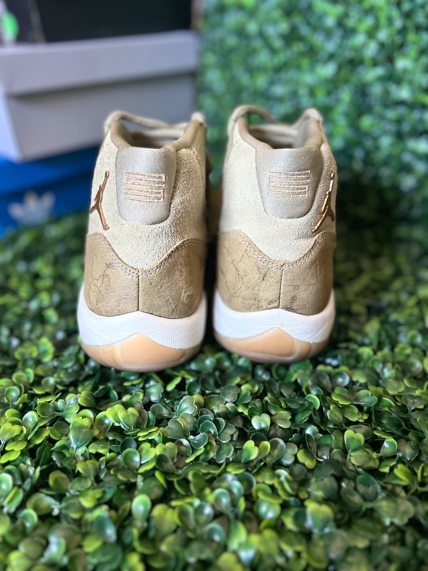 Jordan 11