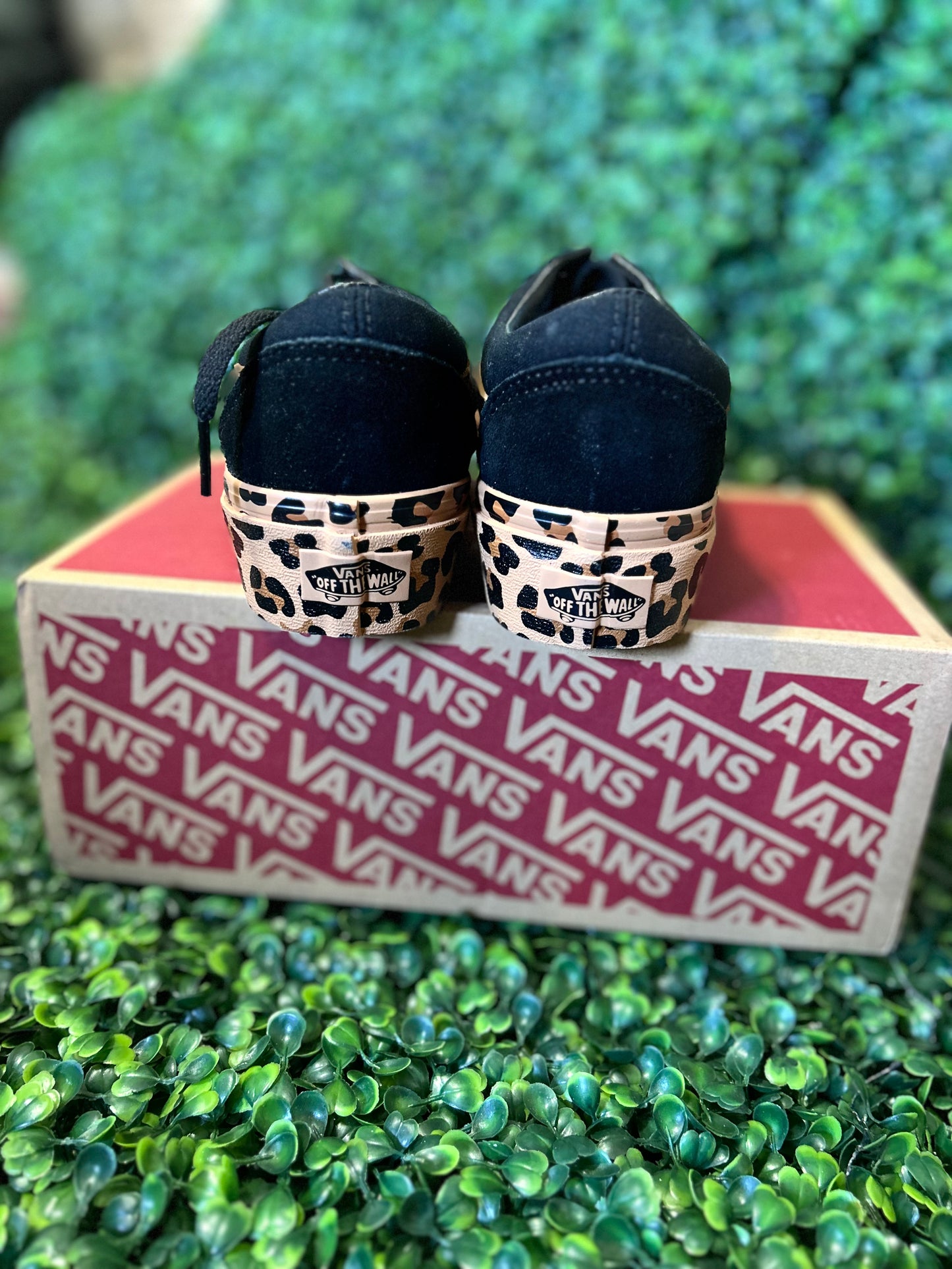 Vans