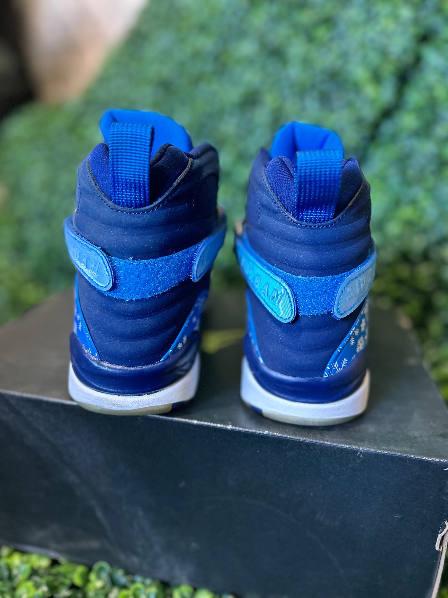 Jordan 8