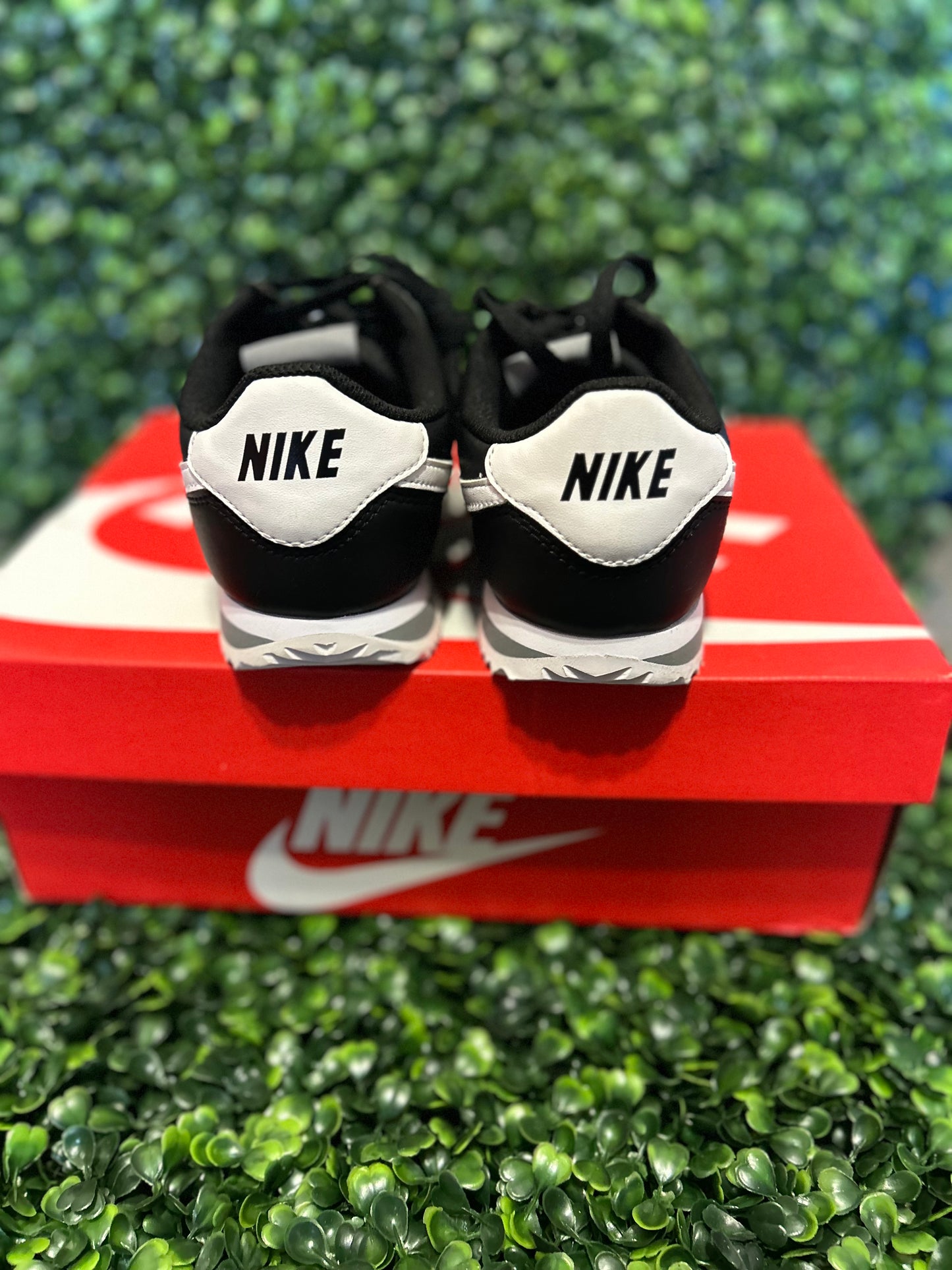 Nike cortez