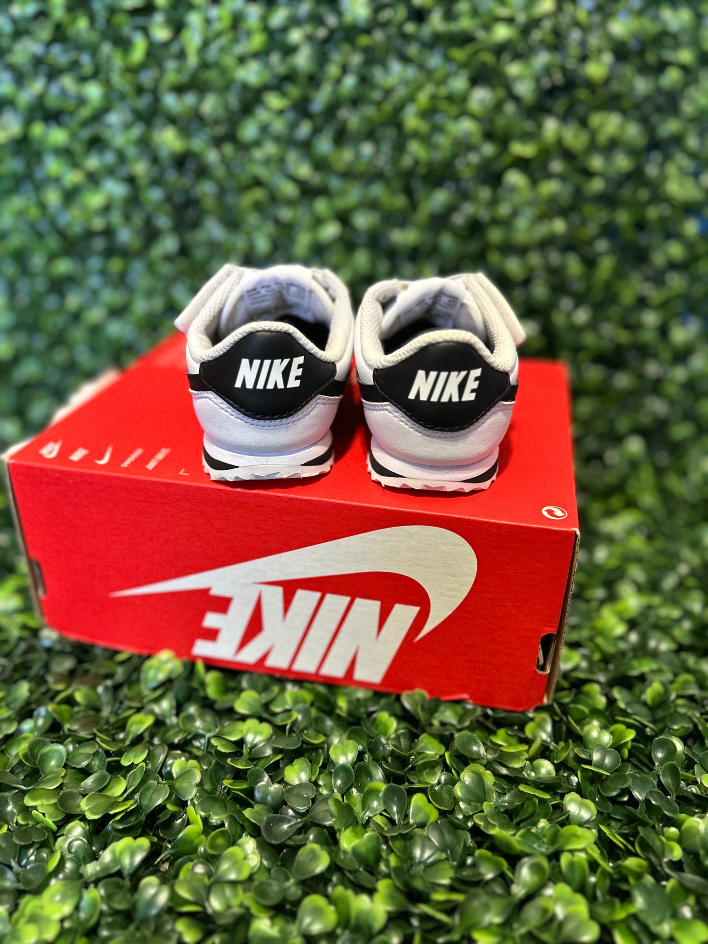 Nike cortez