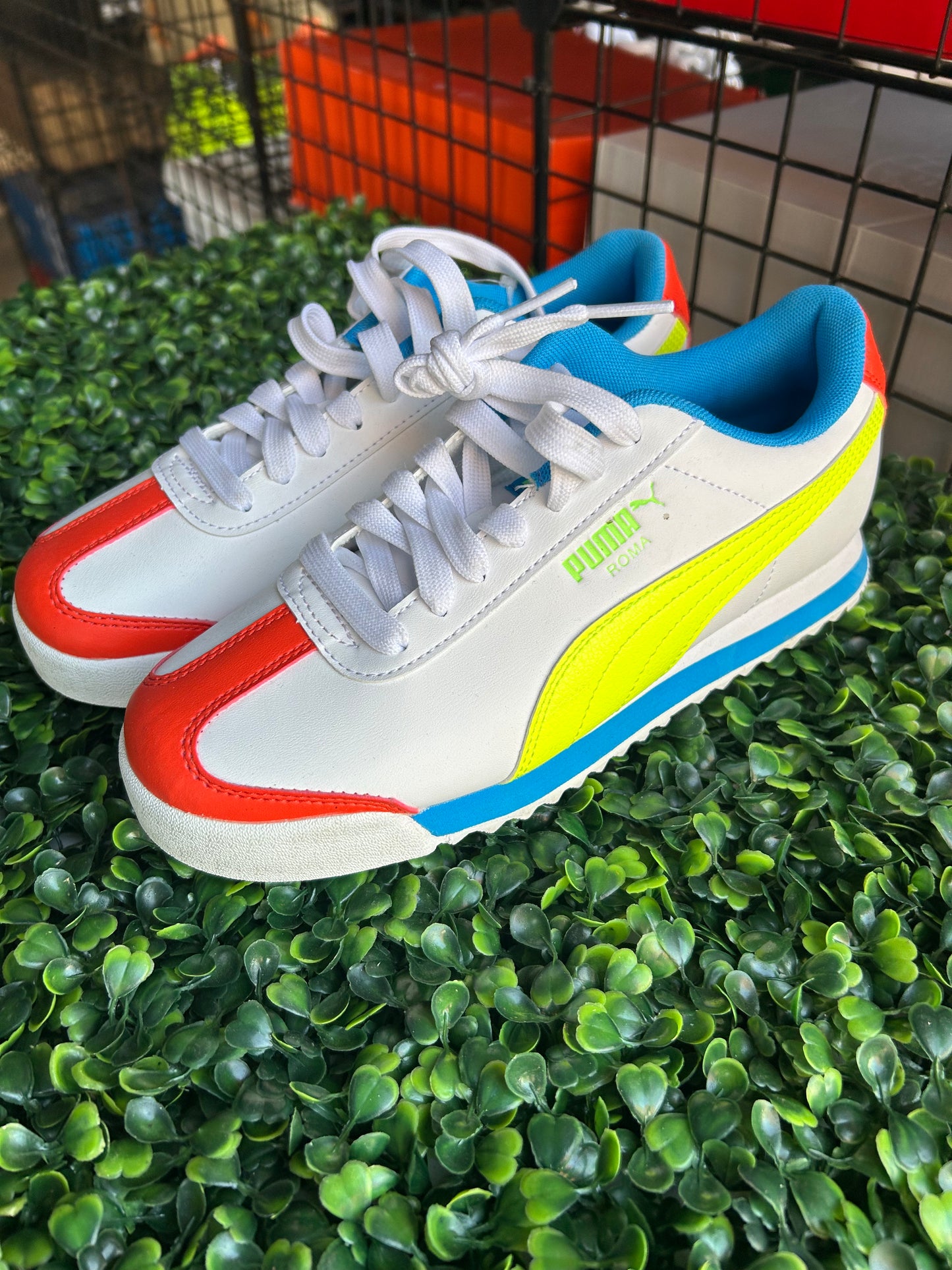 Puma roma size 5.5
