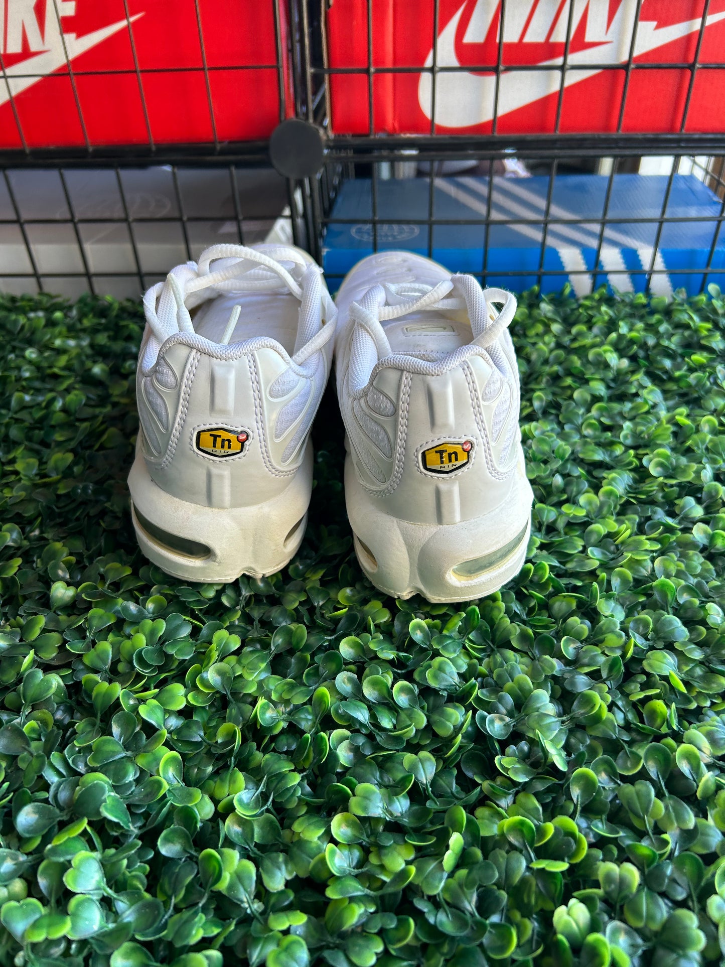Nike air max plus size 5