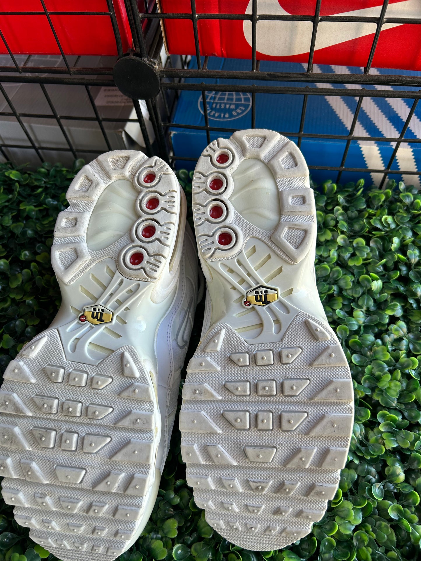 Nike air max plus size 5