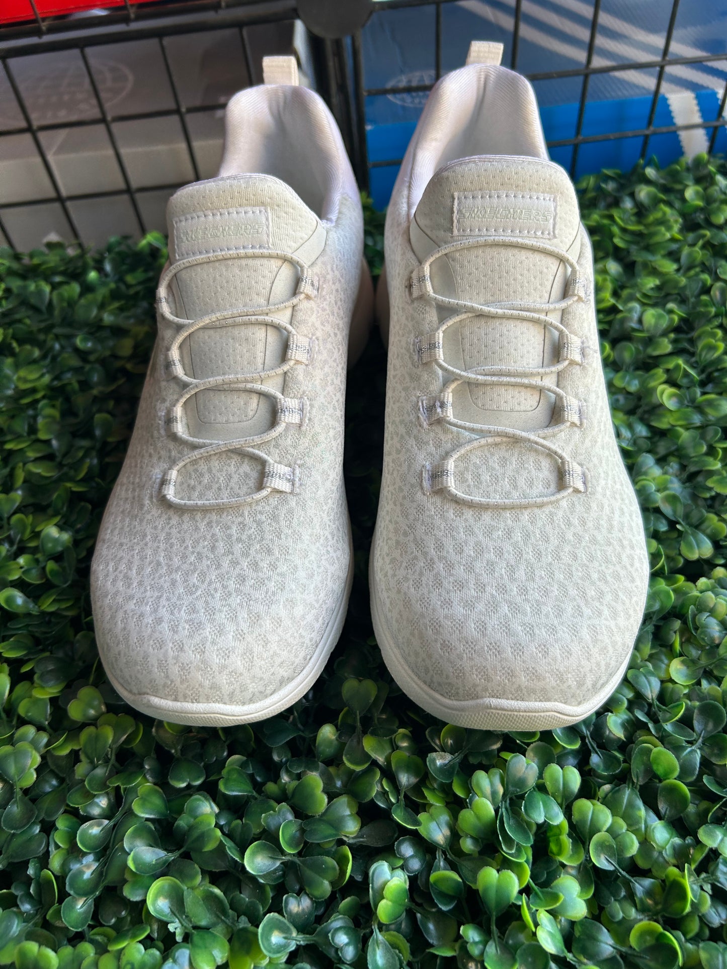 Sketcher summit size 6