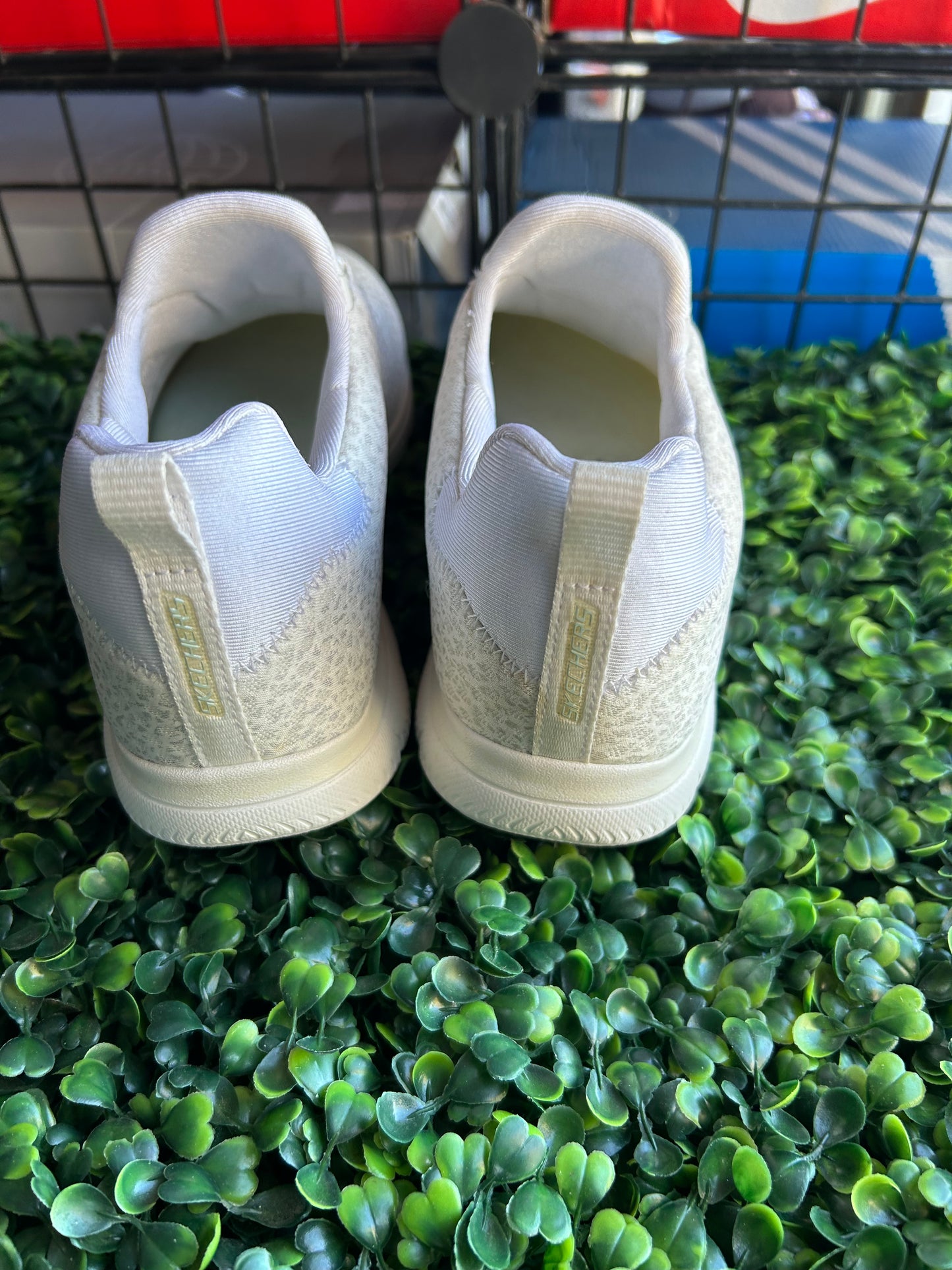 Sketcher summit size 6
