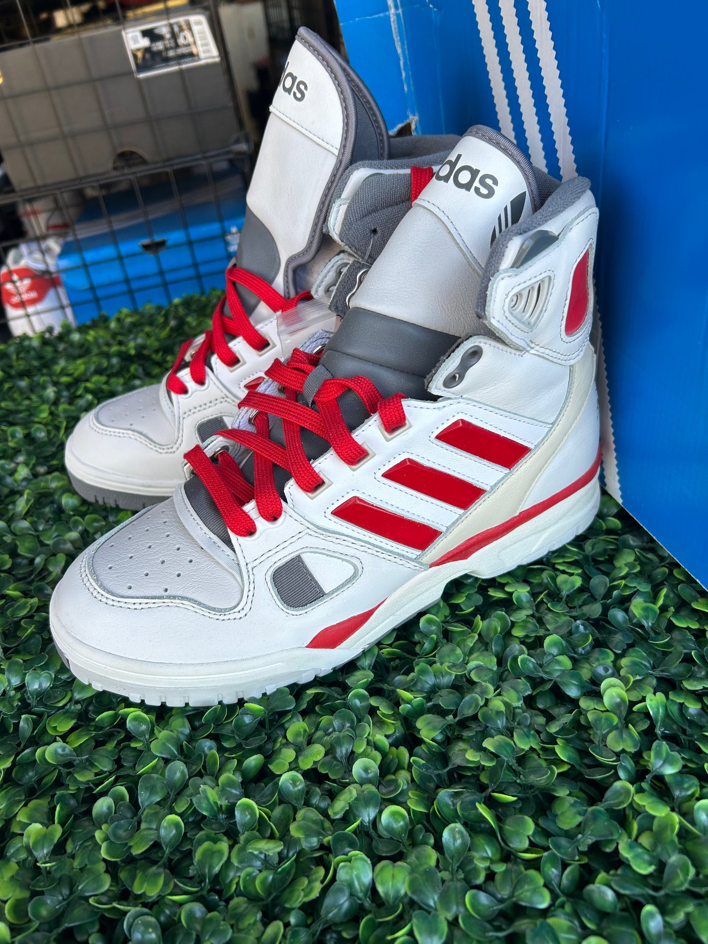 Adidas kc torsion size 6