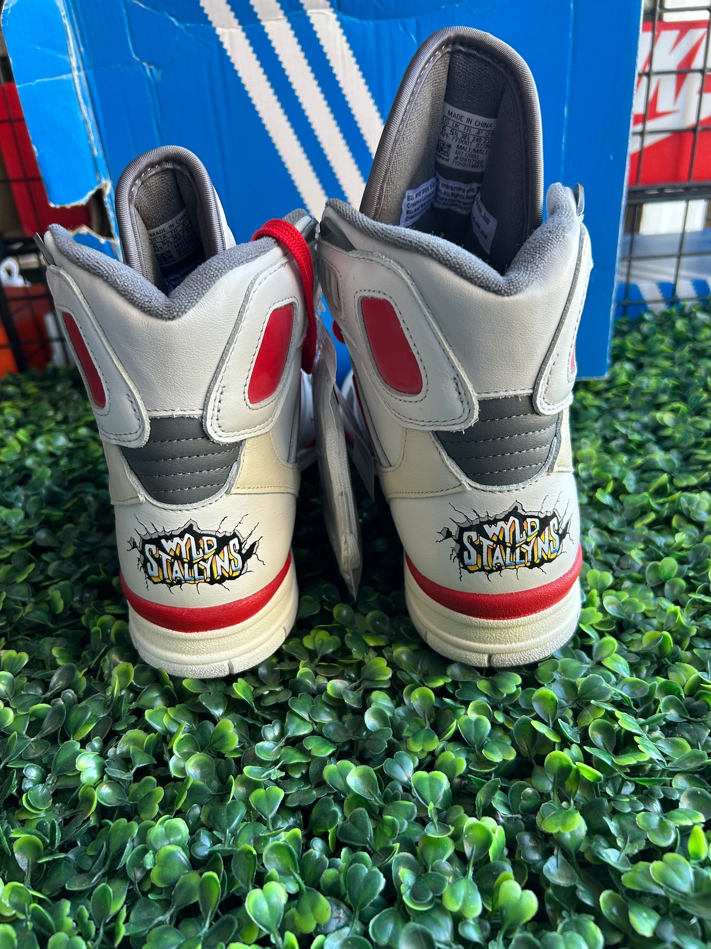 Adidas kc torsion size 6