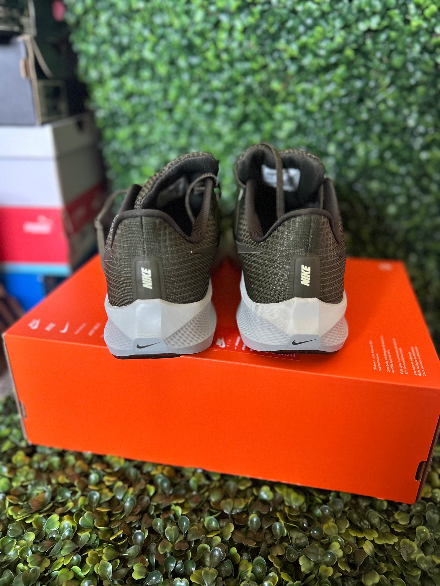 Nike air zoom pegasus