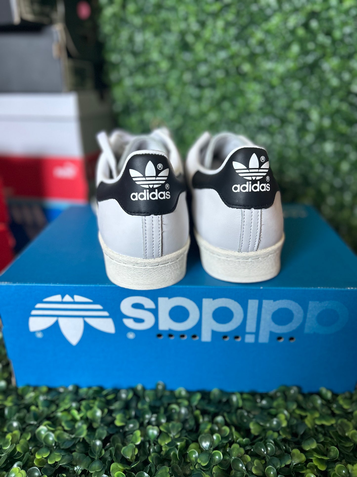 Adidas superstar