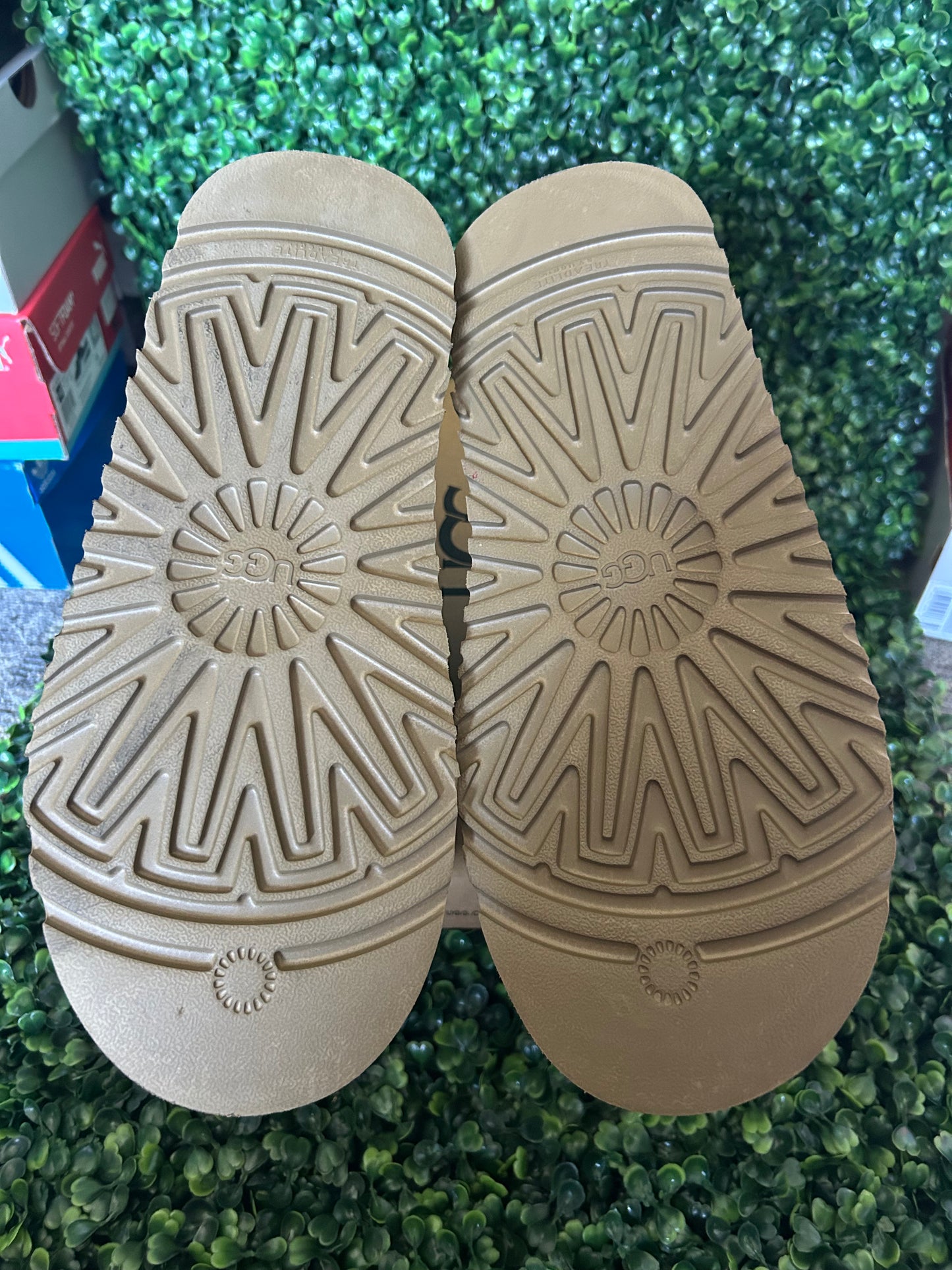 UGGS tasman