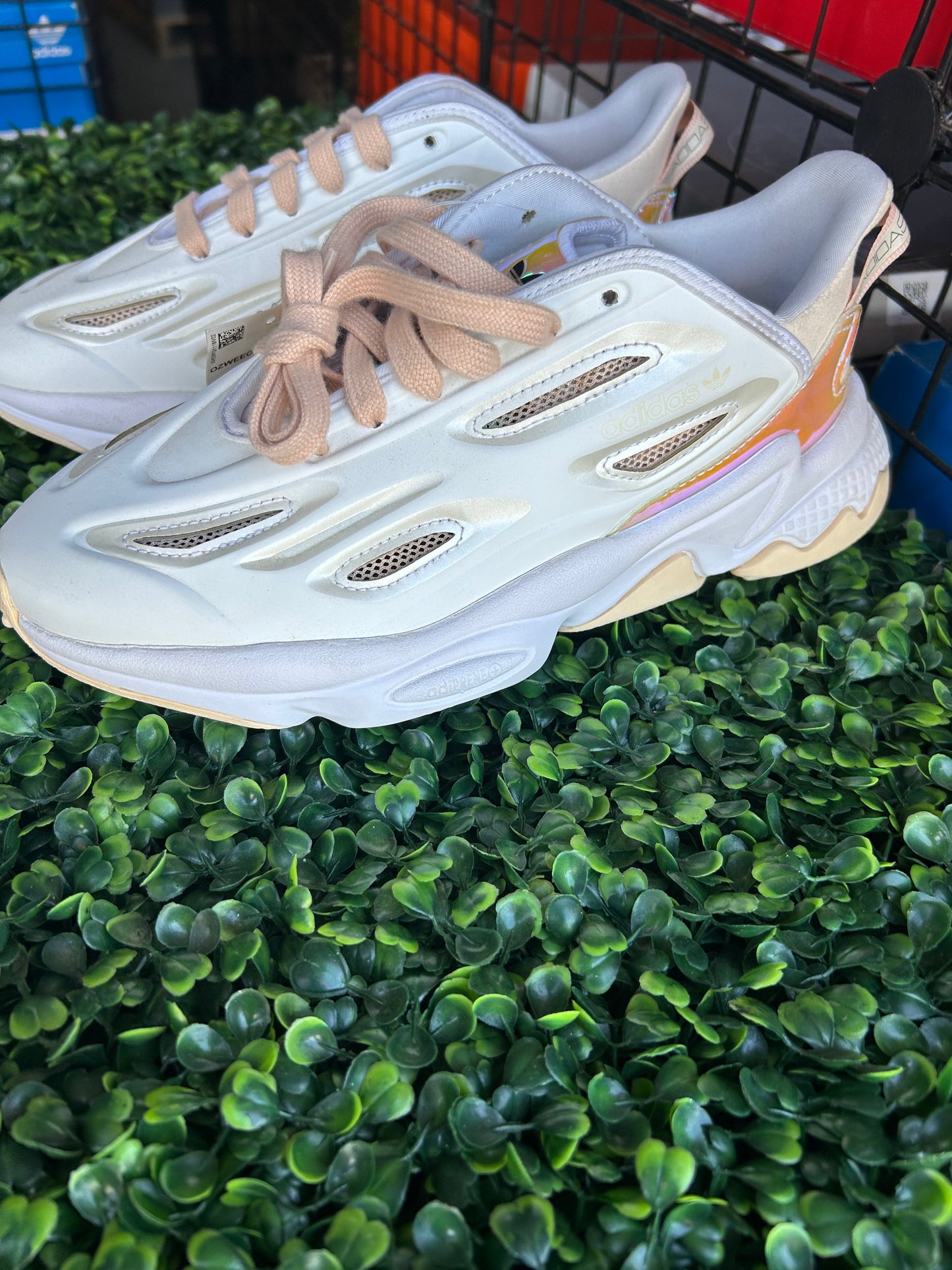 Adidas ozweego celox size 6