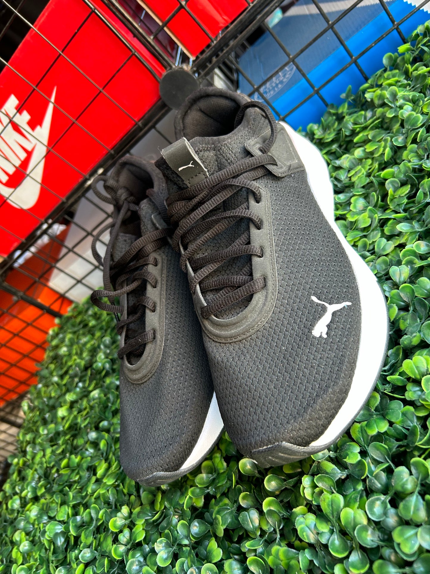 Puma Amare size 8