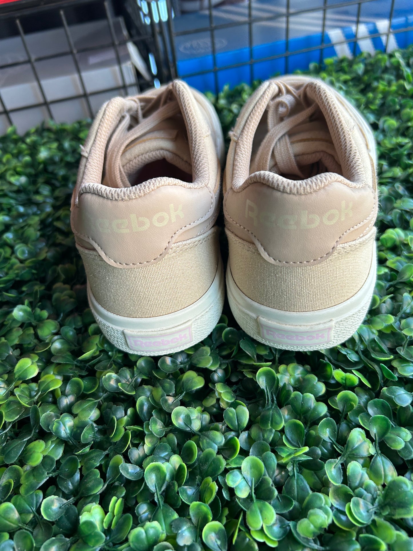 Reebok court advance size 7
